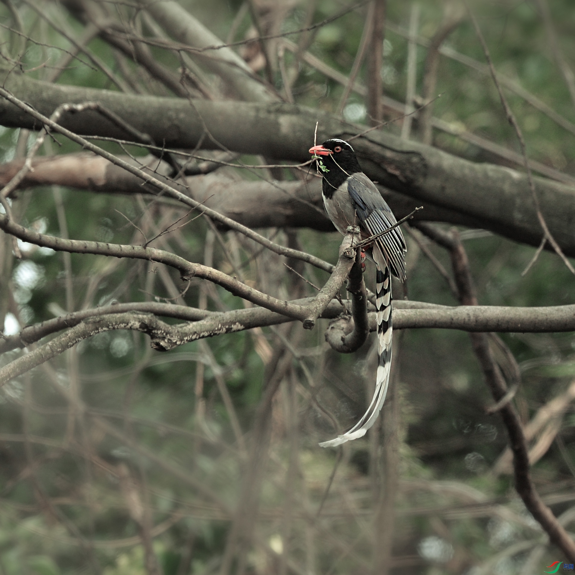 DSC_1692 - ����.jpg