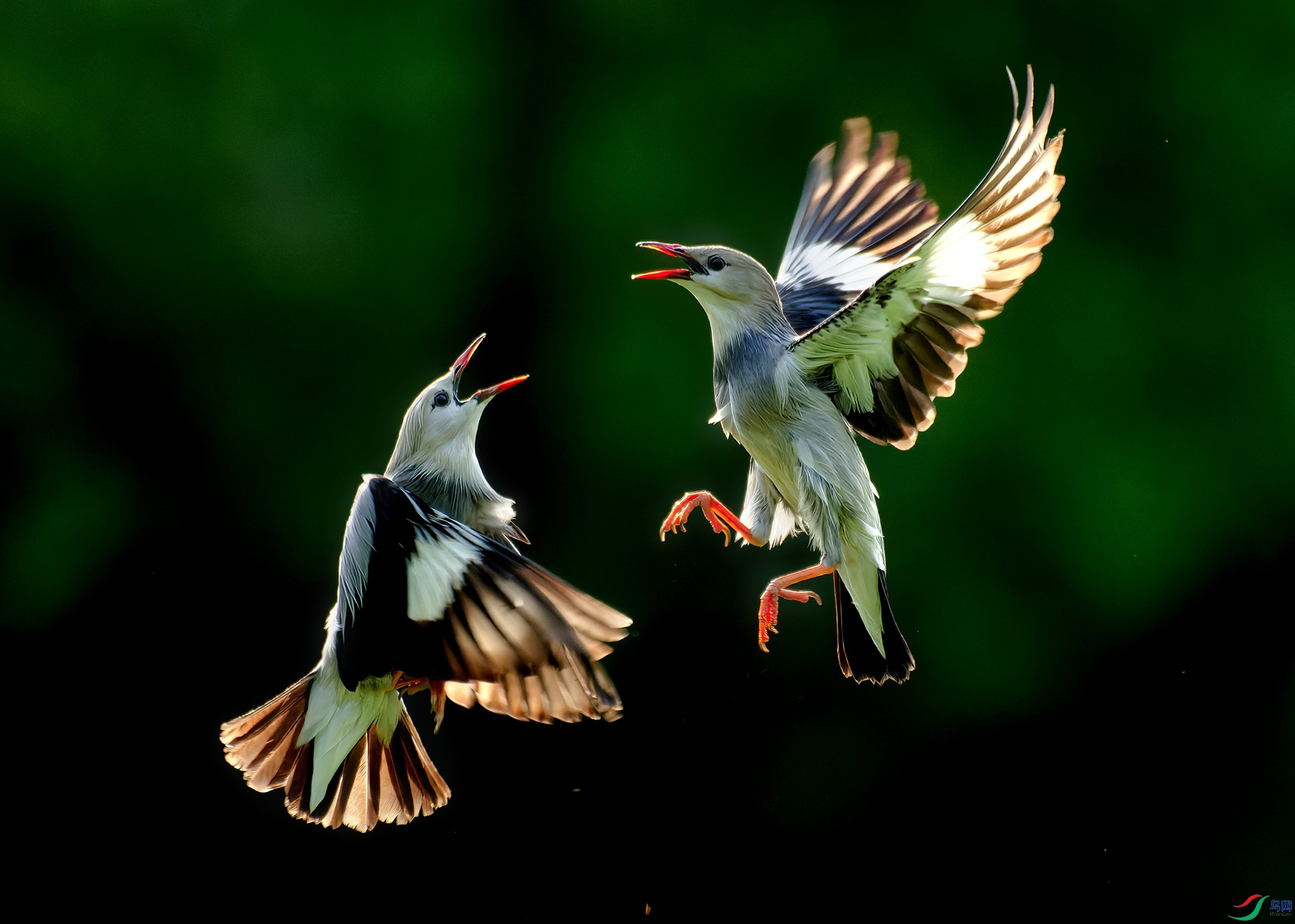 DSC_6767.jpg