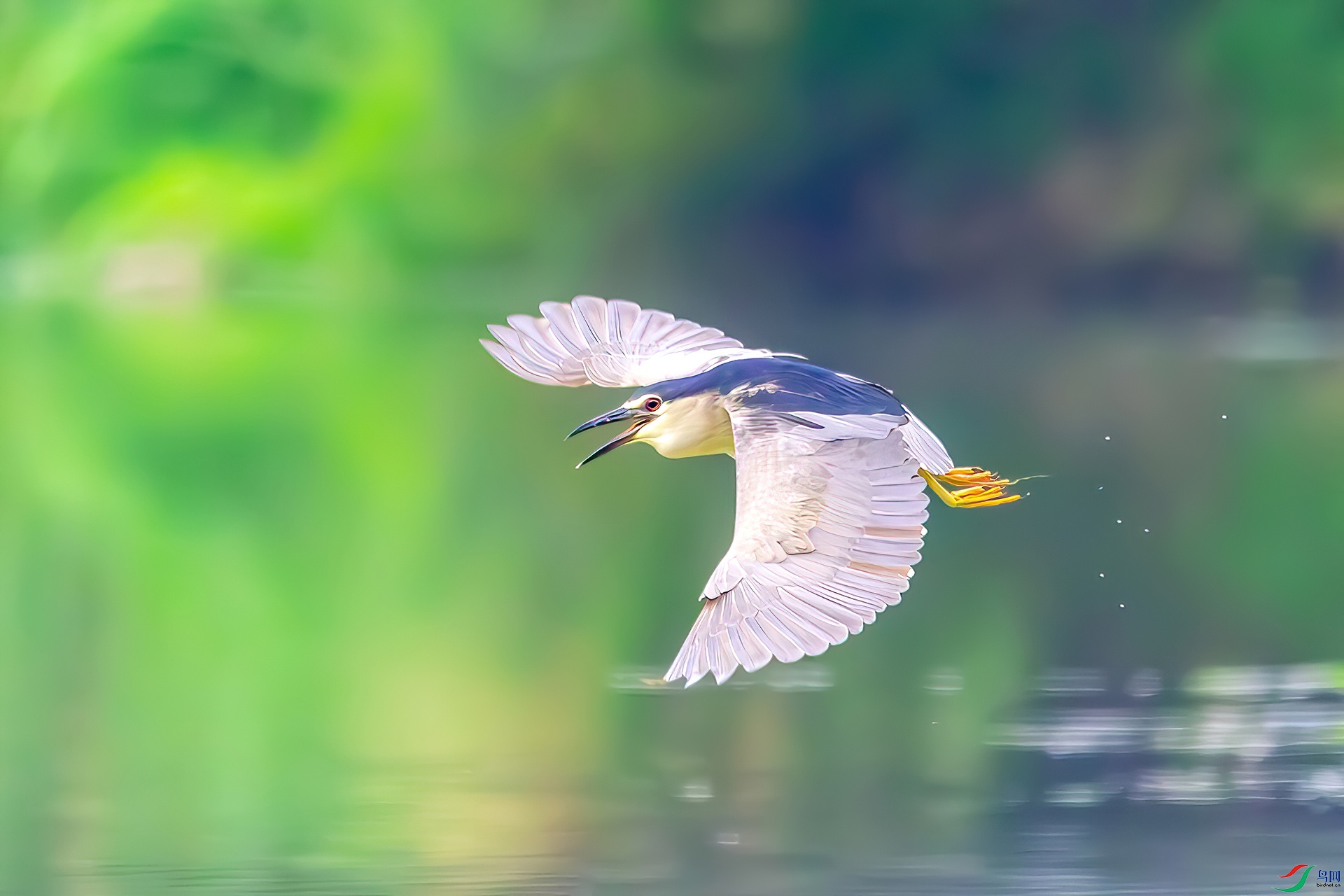 _MG_5334.jpg