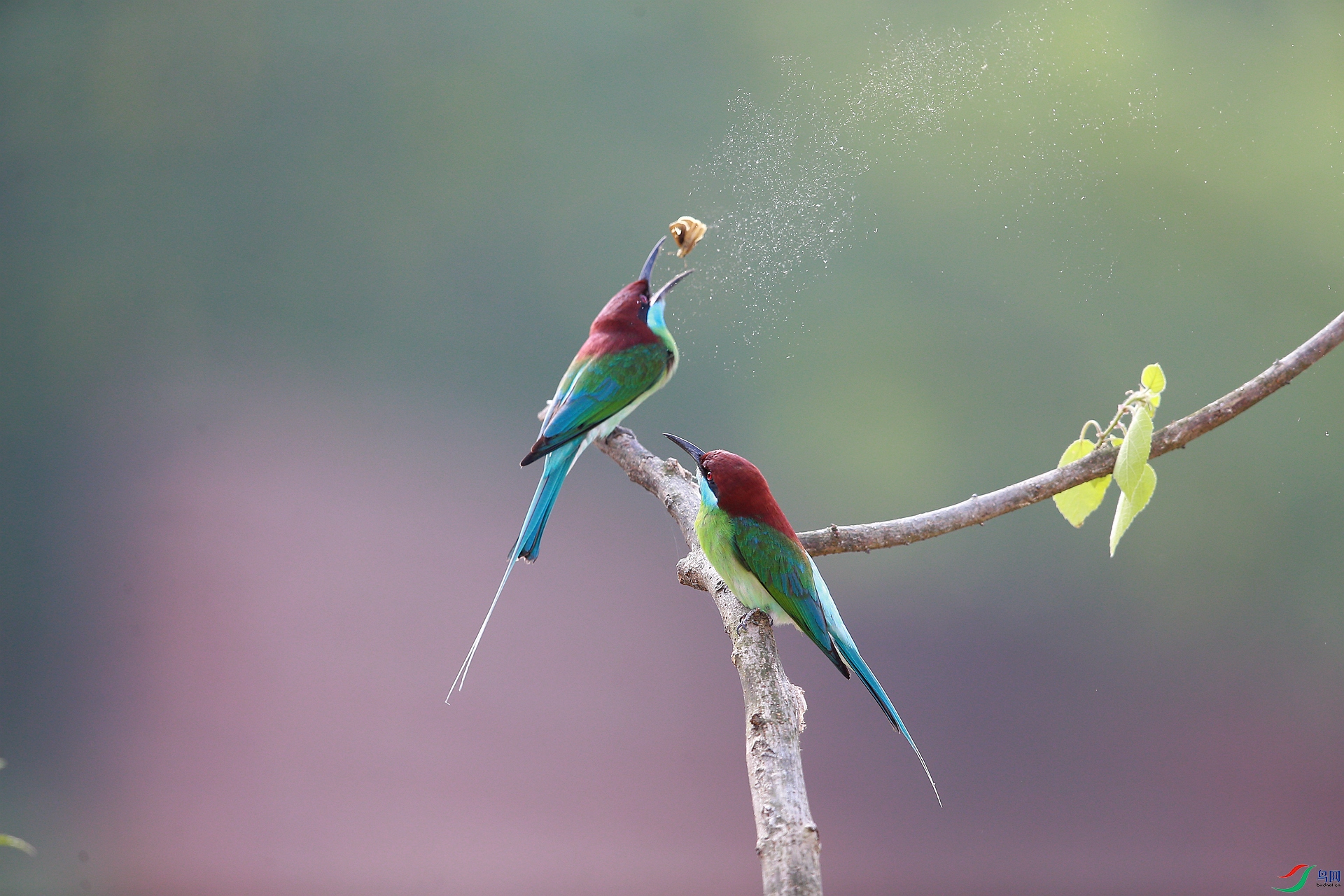 AY8Q1497_����.jpg