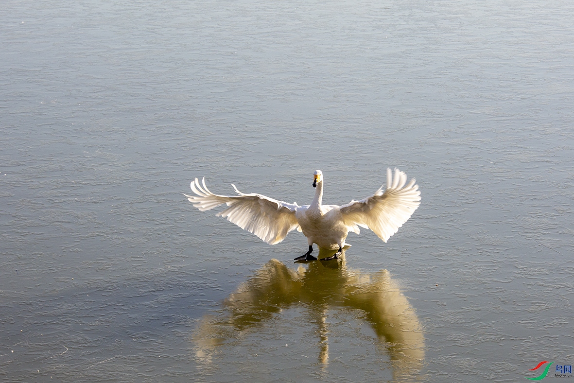 PC2A8470.jpg
