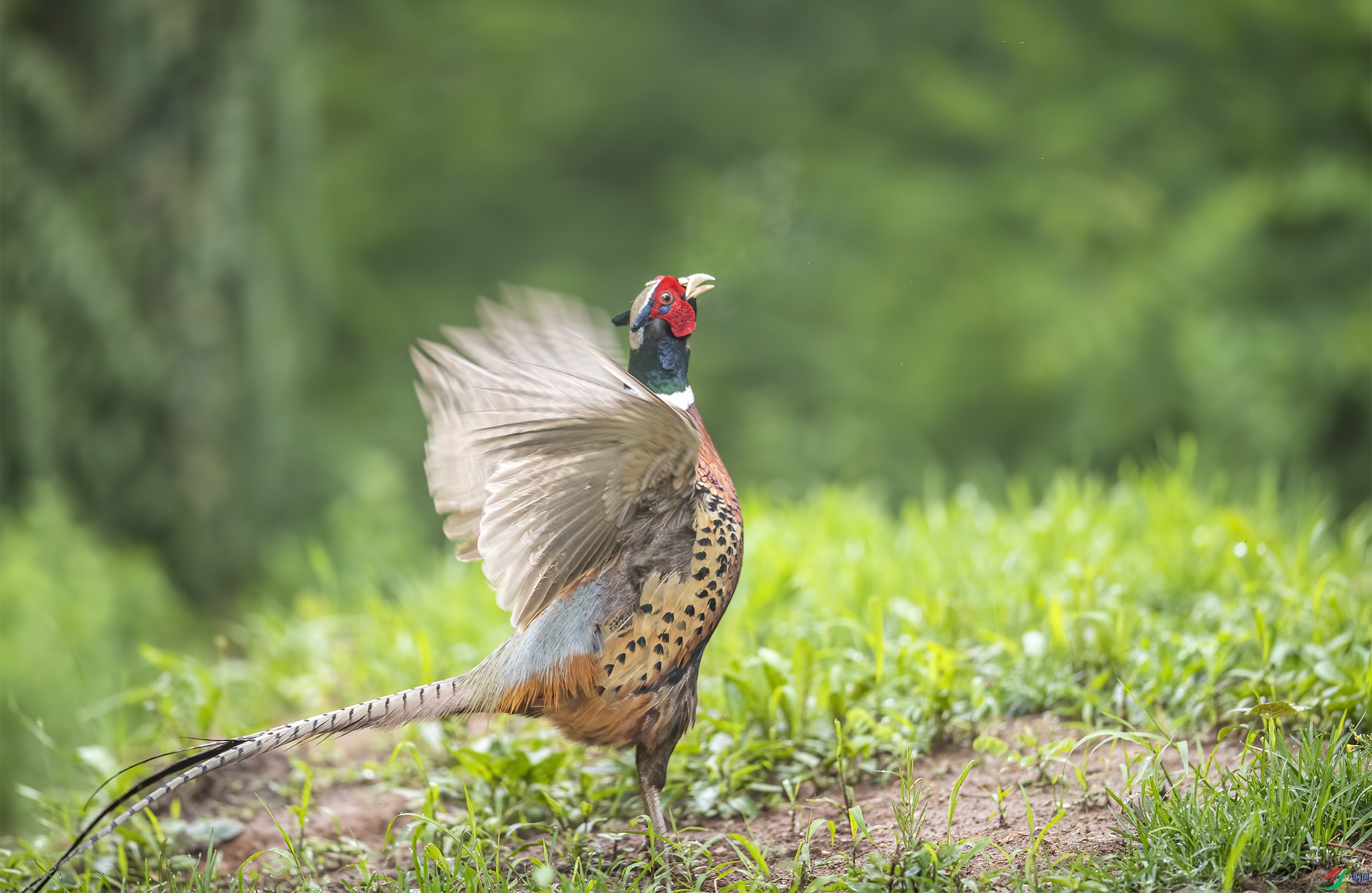 AC3I5919 ����.jpg