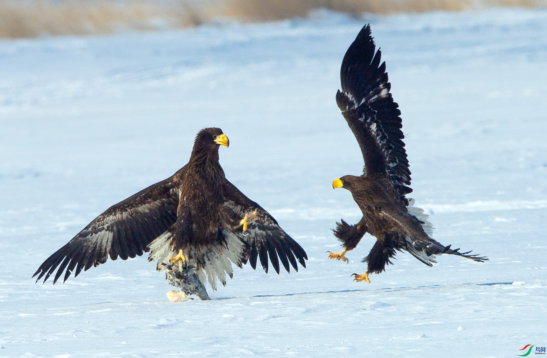 ��DSC_7351 ��ؐ.jpg