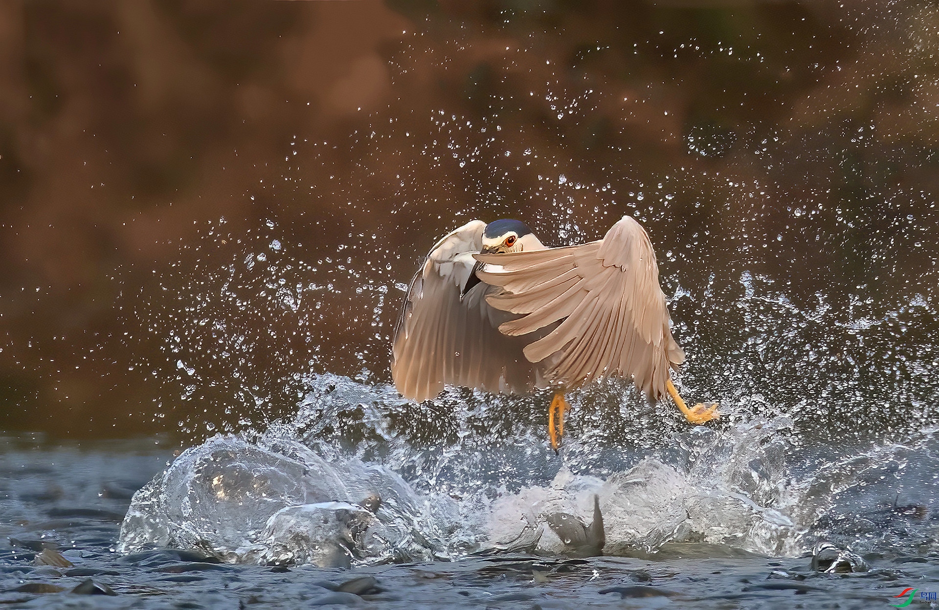 DSC_6378 ����_����.jpg