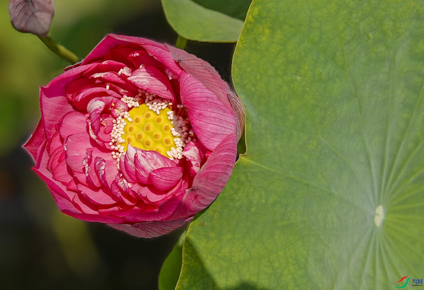 _DSC1647 ����.jpg