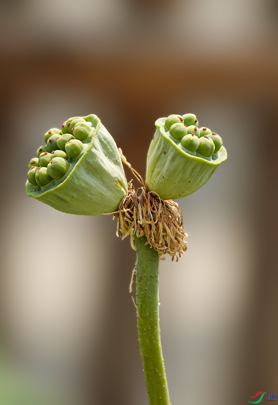 _DSC2033 ����.jpg