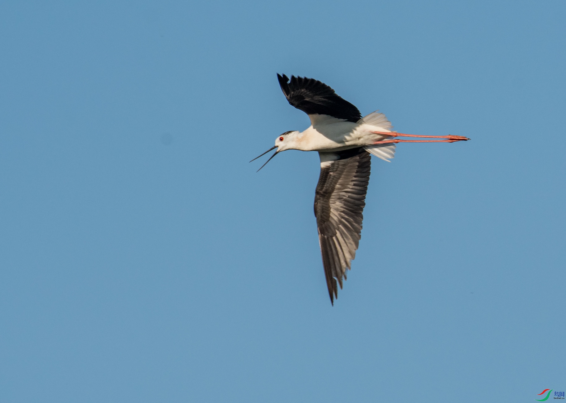 DSC_8874.jpg