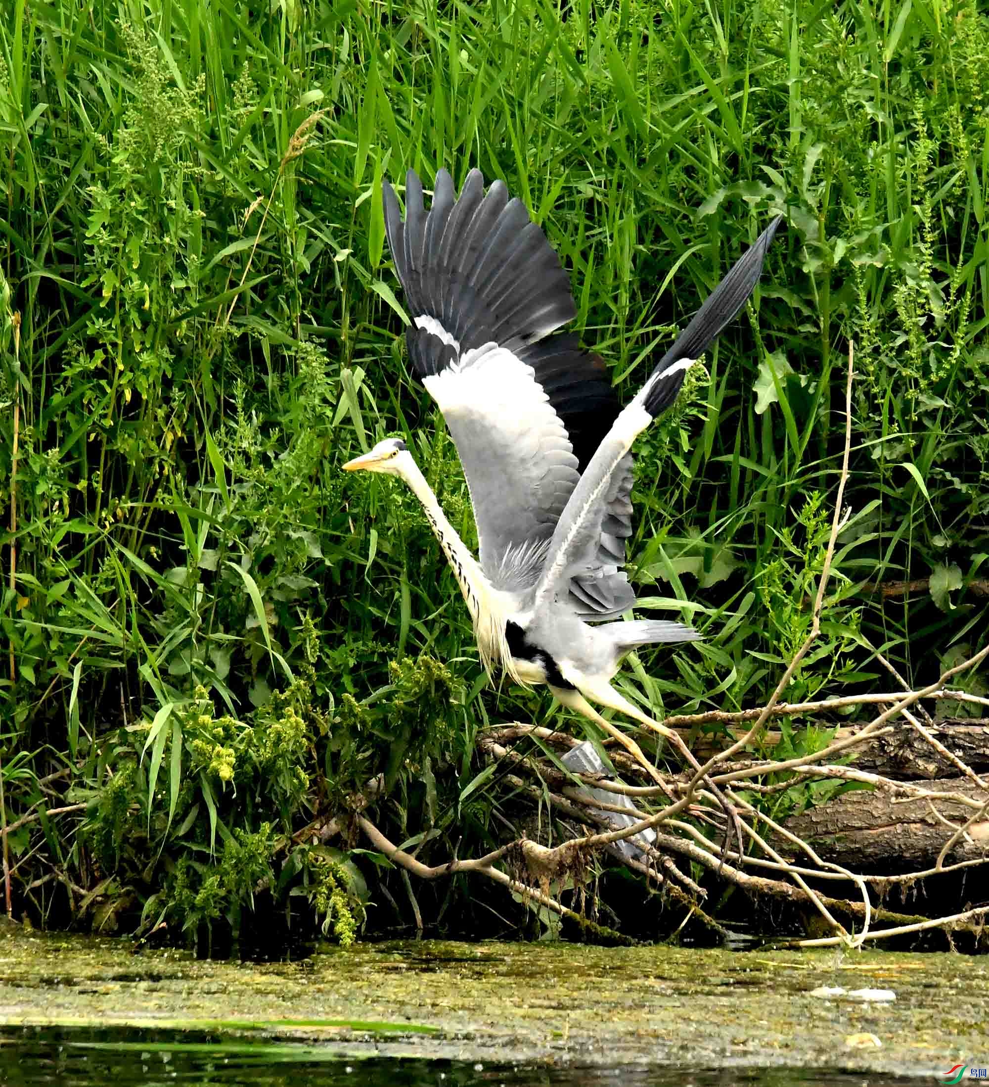DSC_9356.JPG