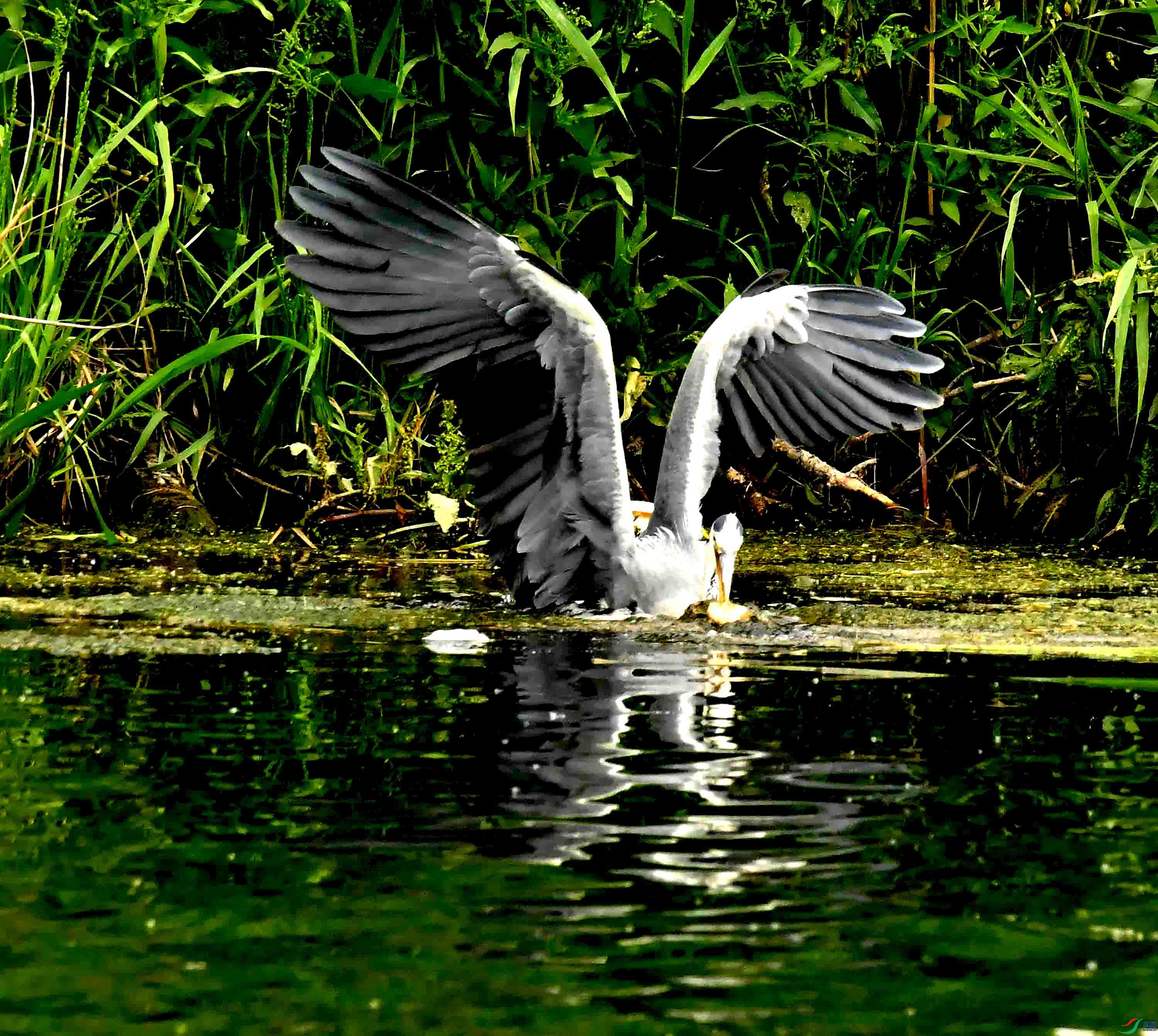 DSC_9364.JPG