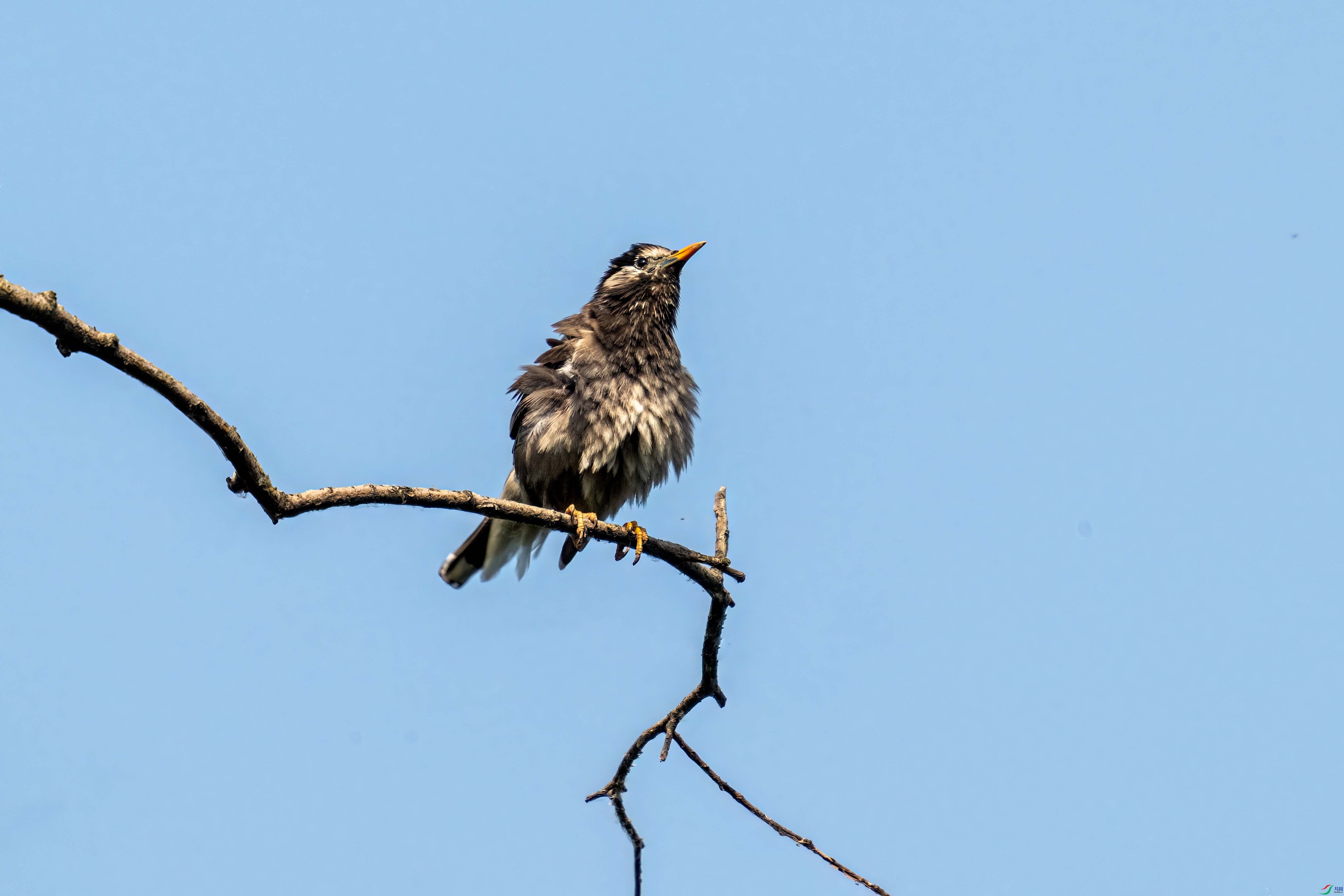 DSC_3455.jpg
