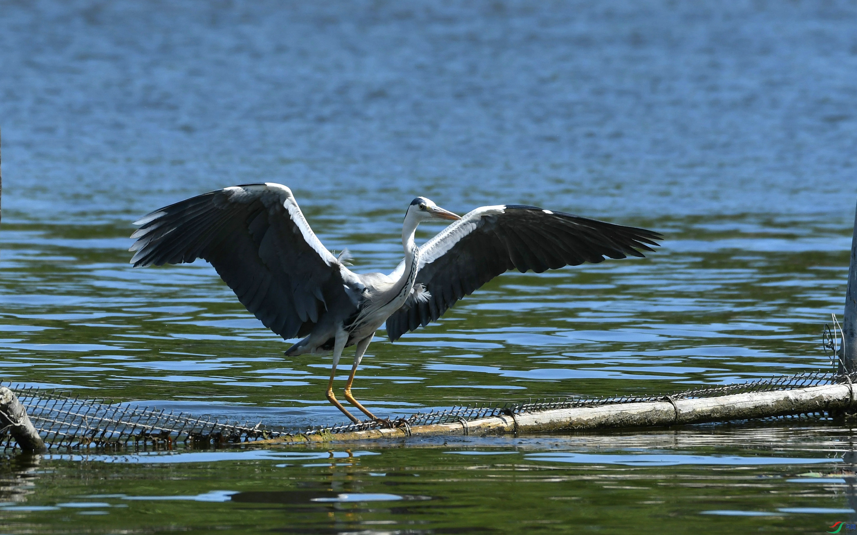 DSC_2880.JPG