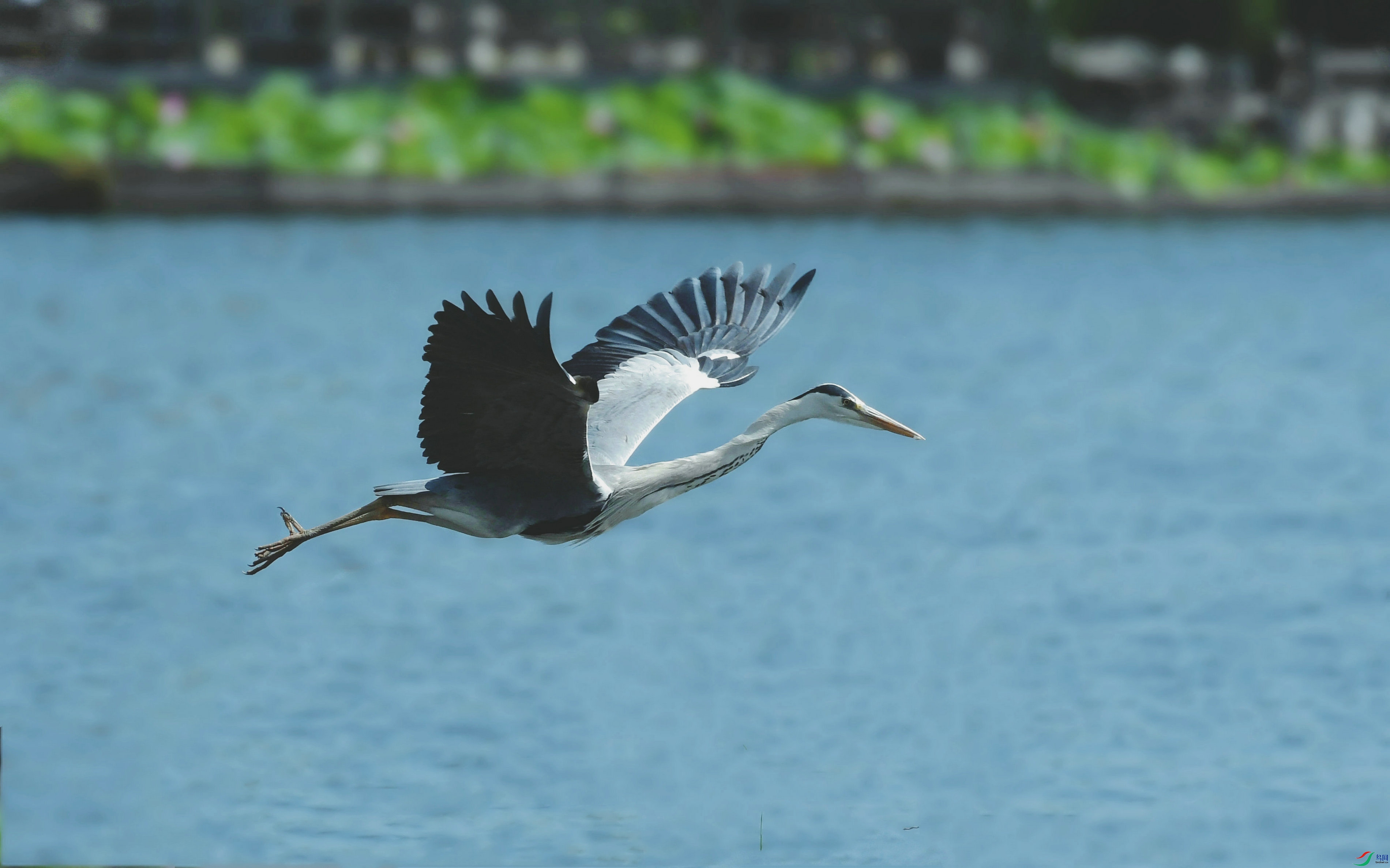 DSC_2854.JPG