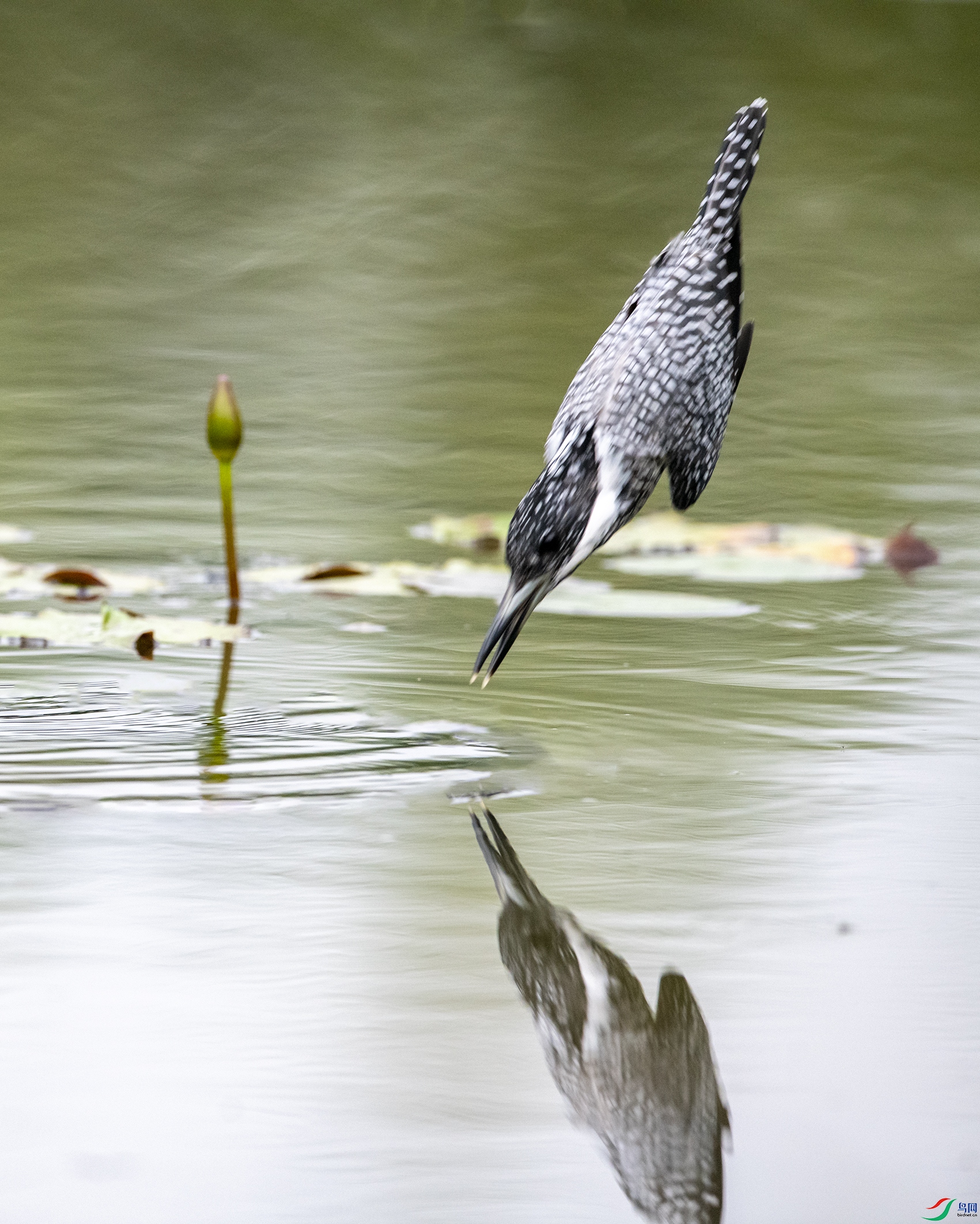 7725 ����.jpg