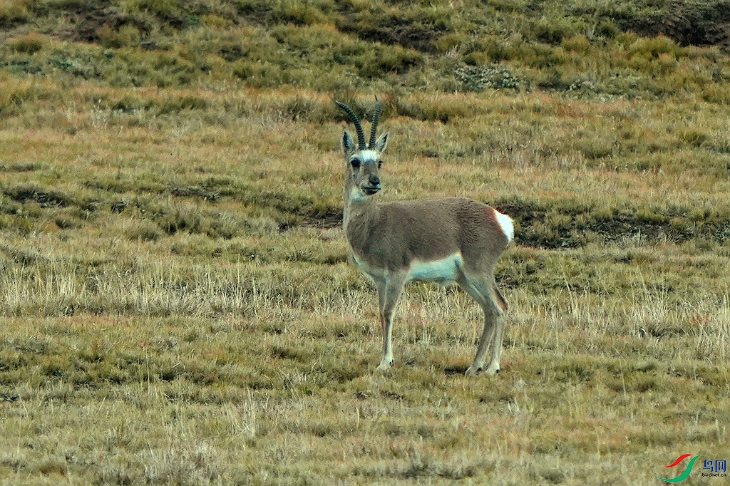 DSC09966_����.jpg