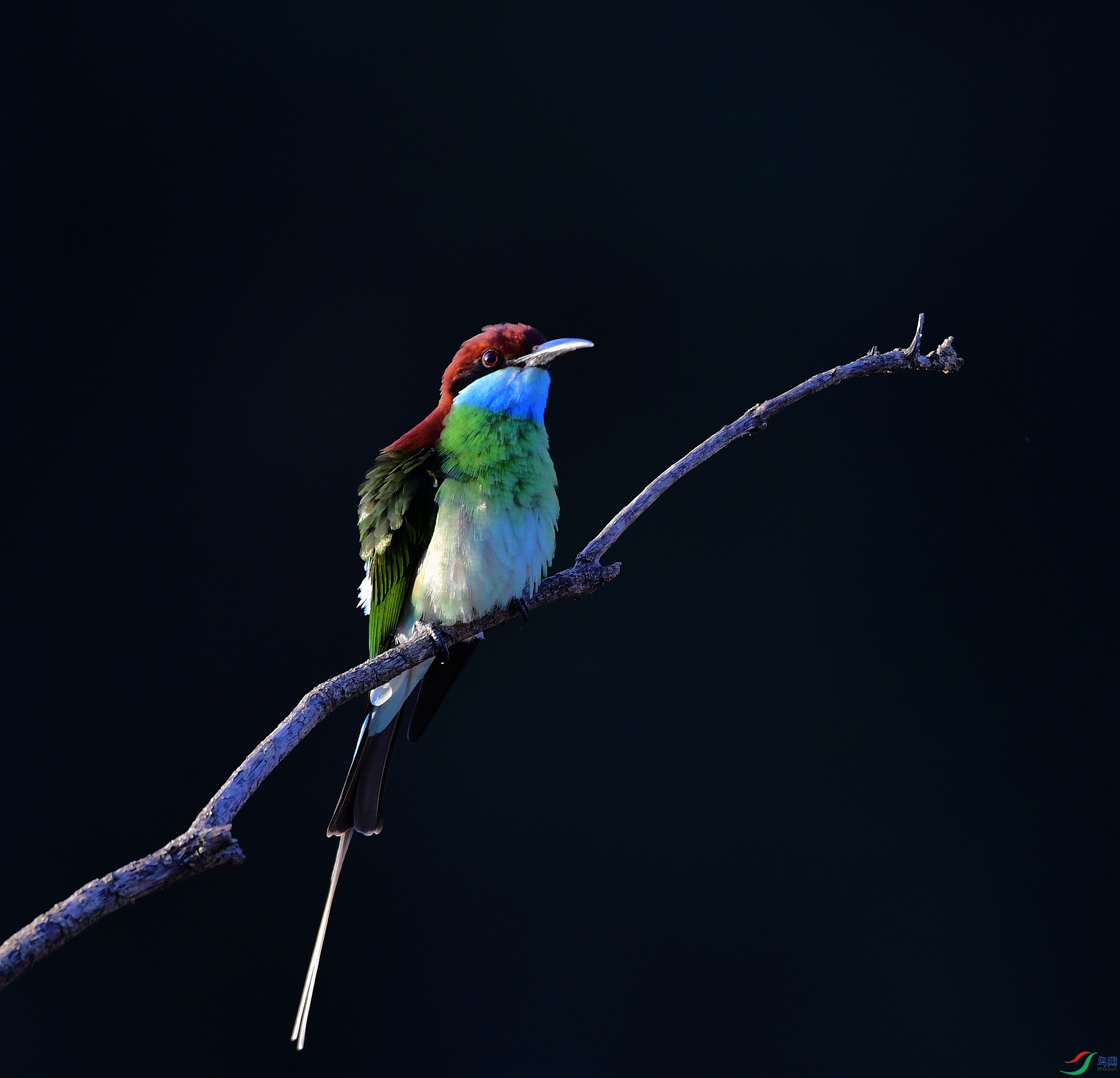 _D5D9678.jpg
