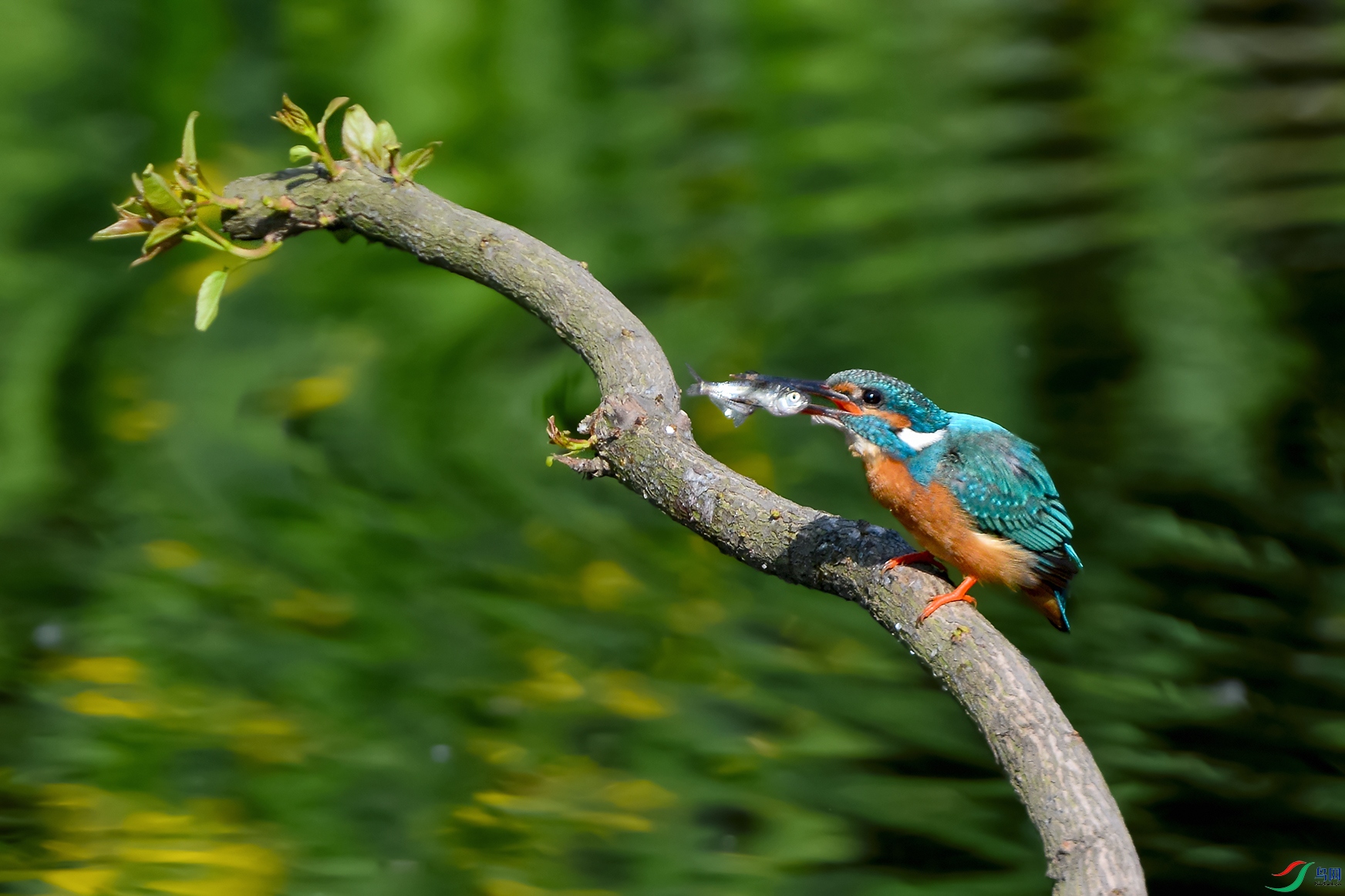 3DSC_9802_DxOa.jpg