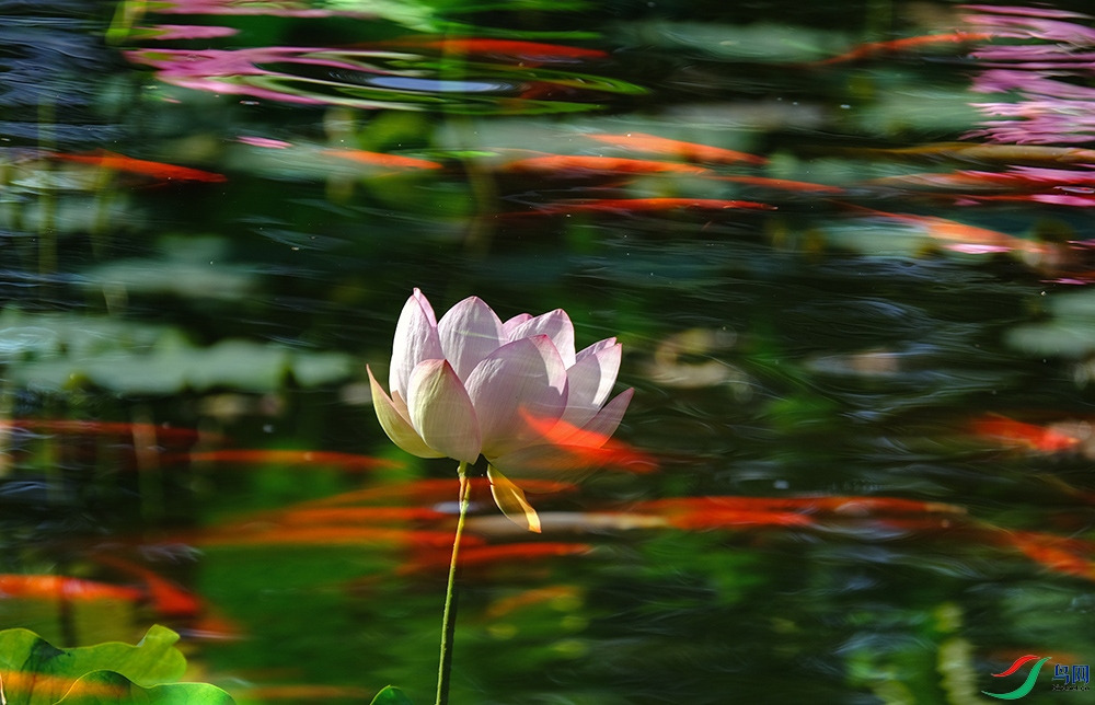DSCF7926.1.jpg
