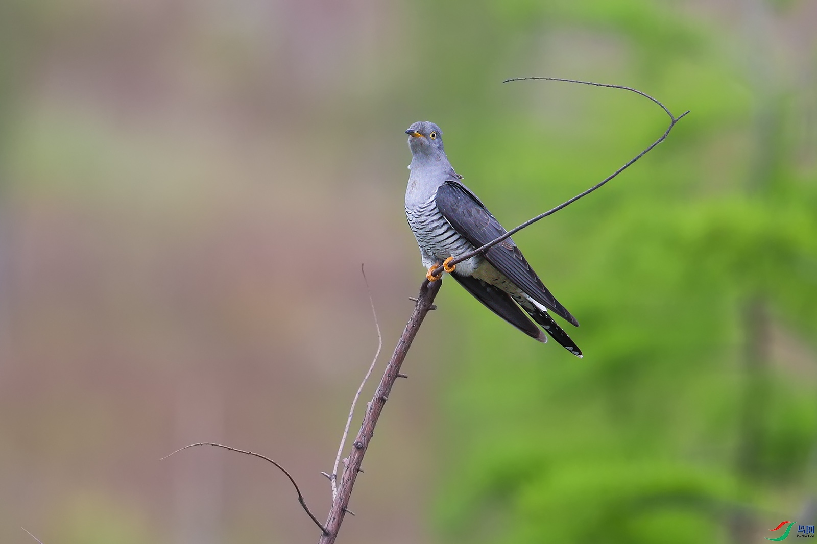 BN7I5719p.jpg