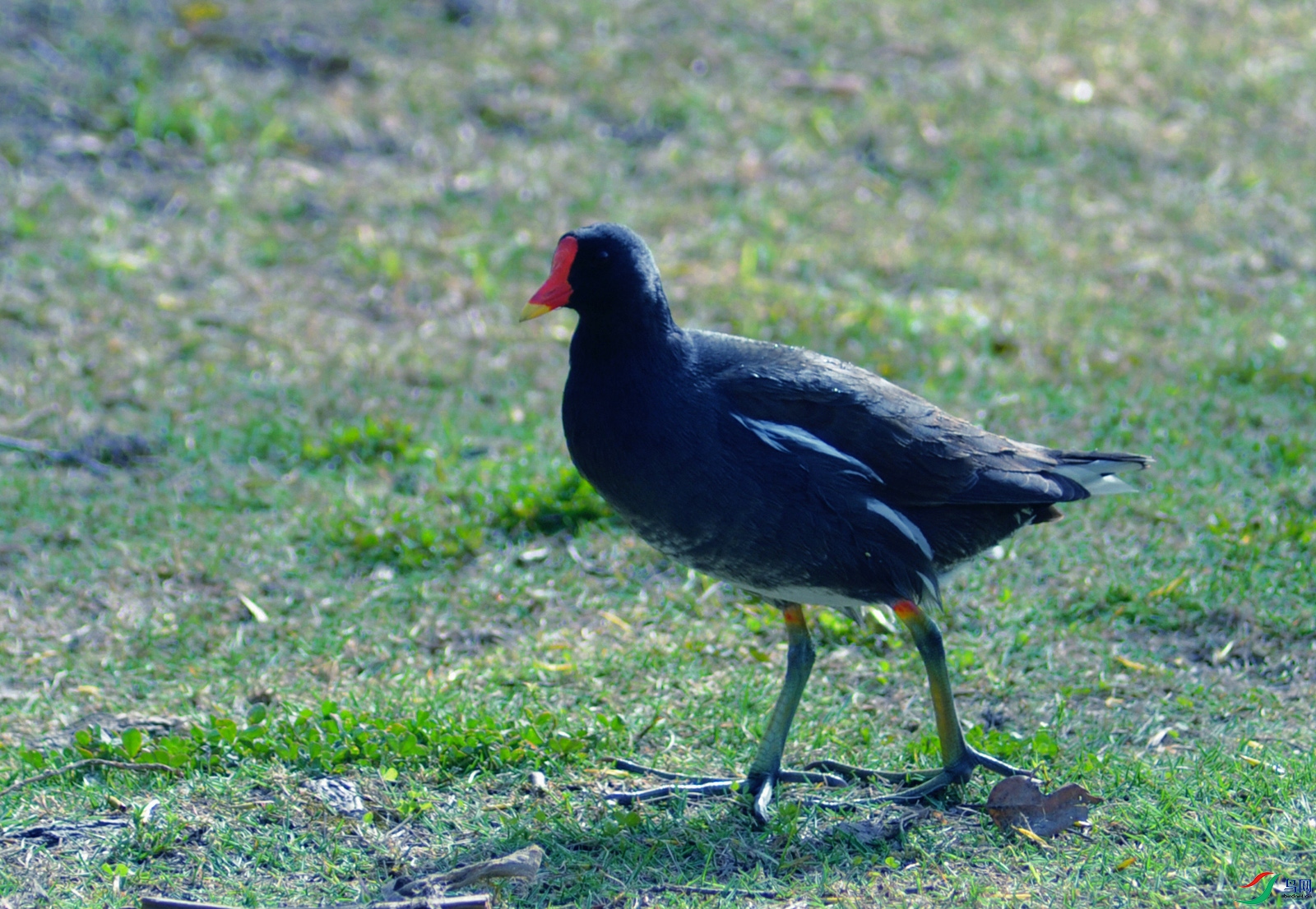 DSC_3305_.jpg