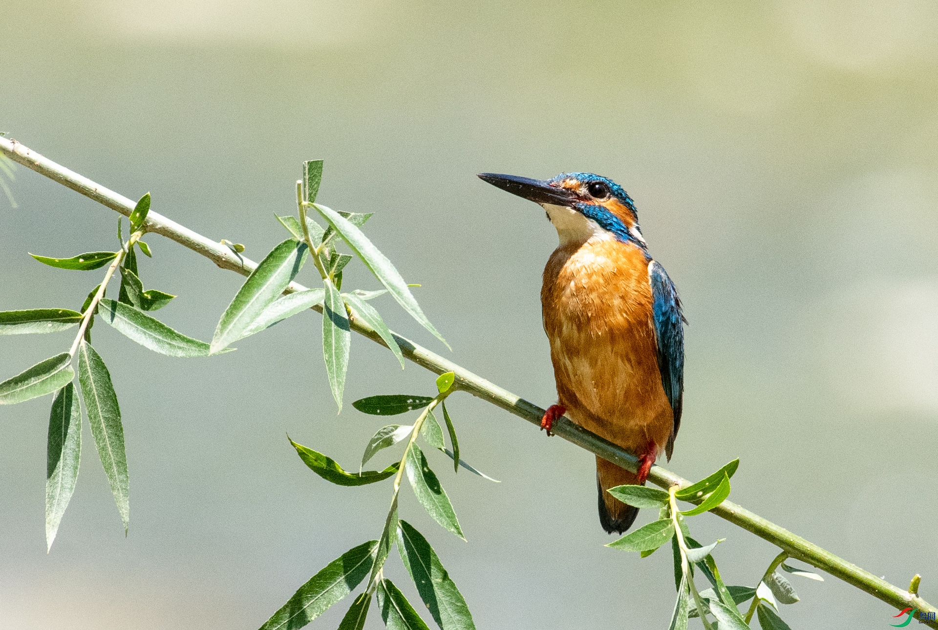 DSC_7589.jpg