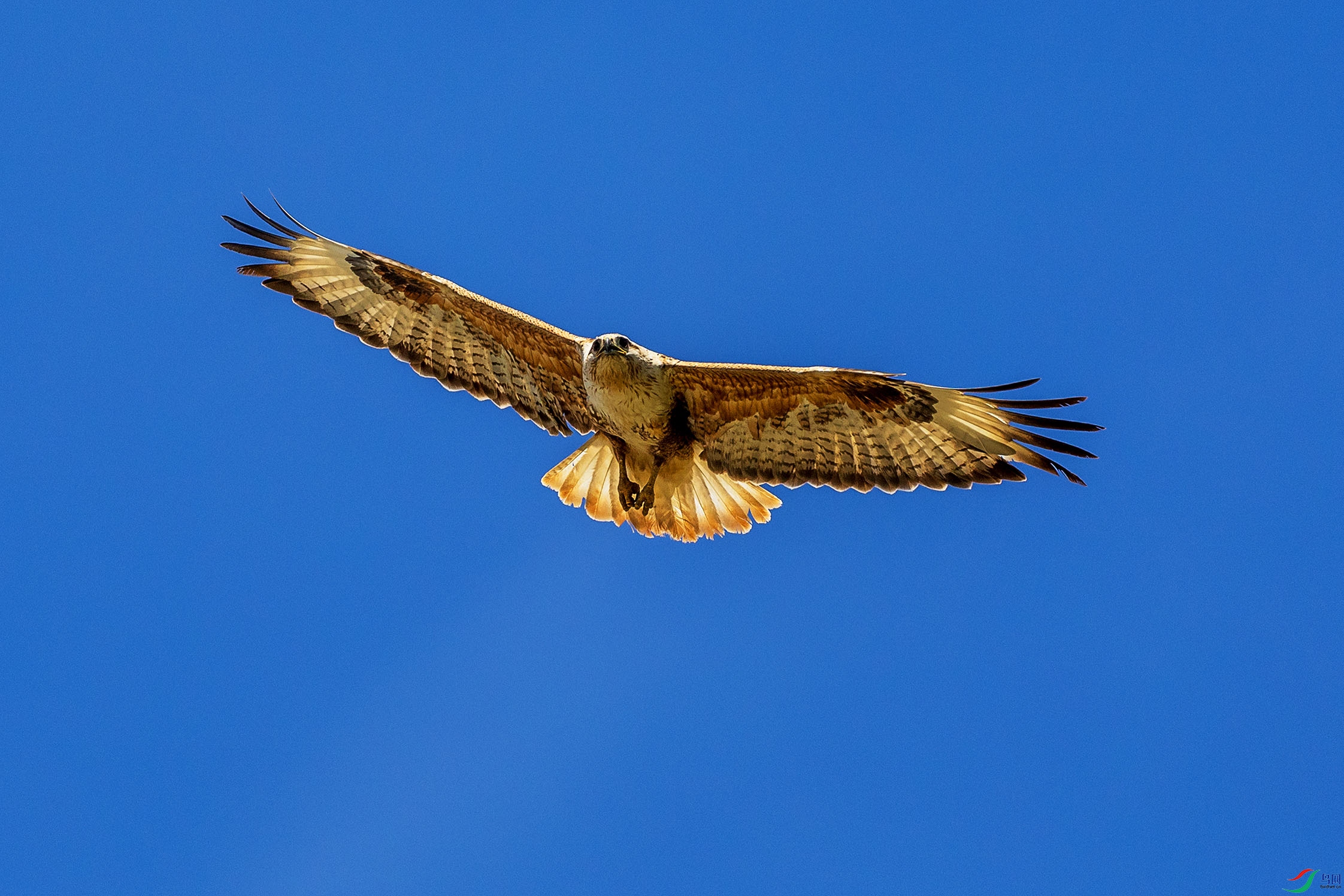 063A4228.jpgb1.jpg