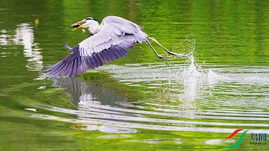 412A7607-DeNoiseAI-standardA.jpg