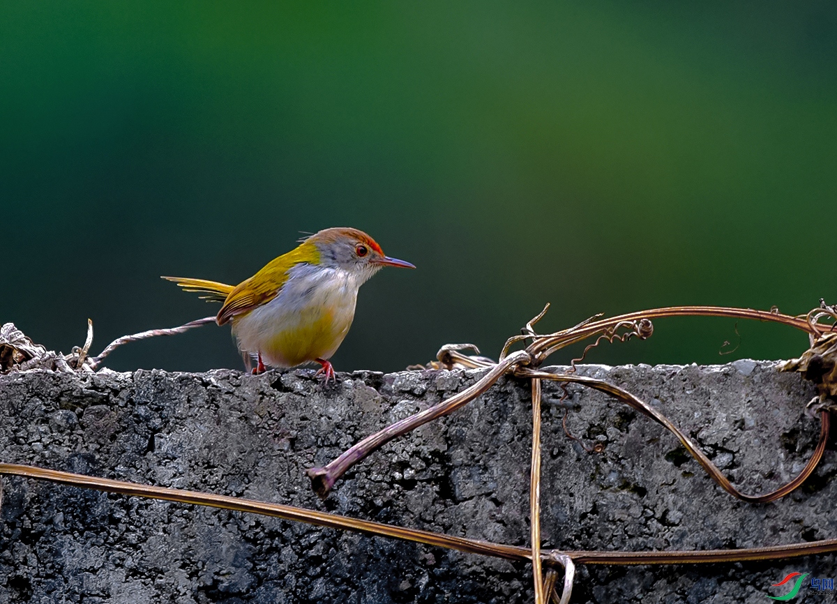 DSC_3695.JPG