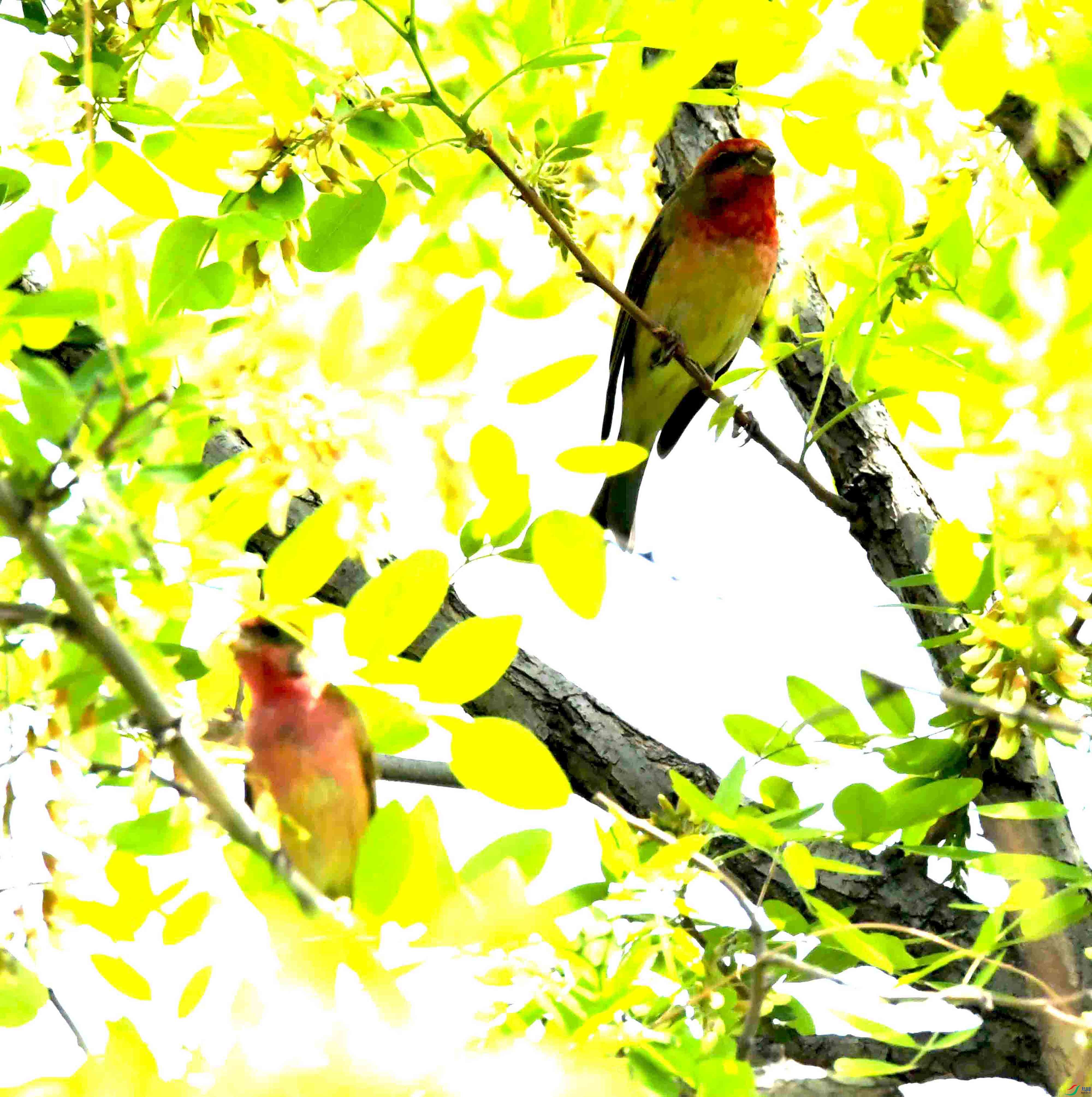DSC_8453.JPG