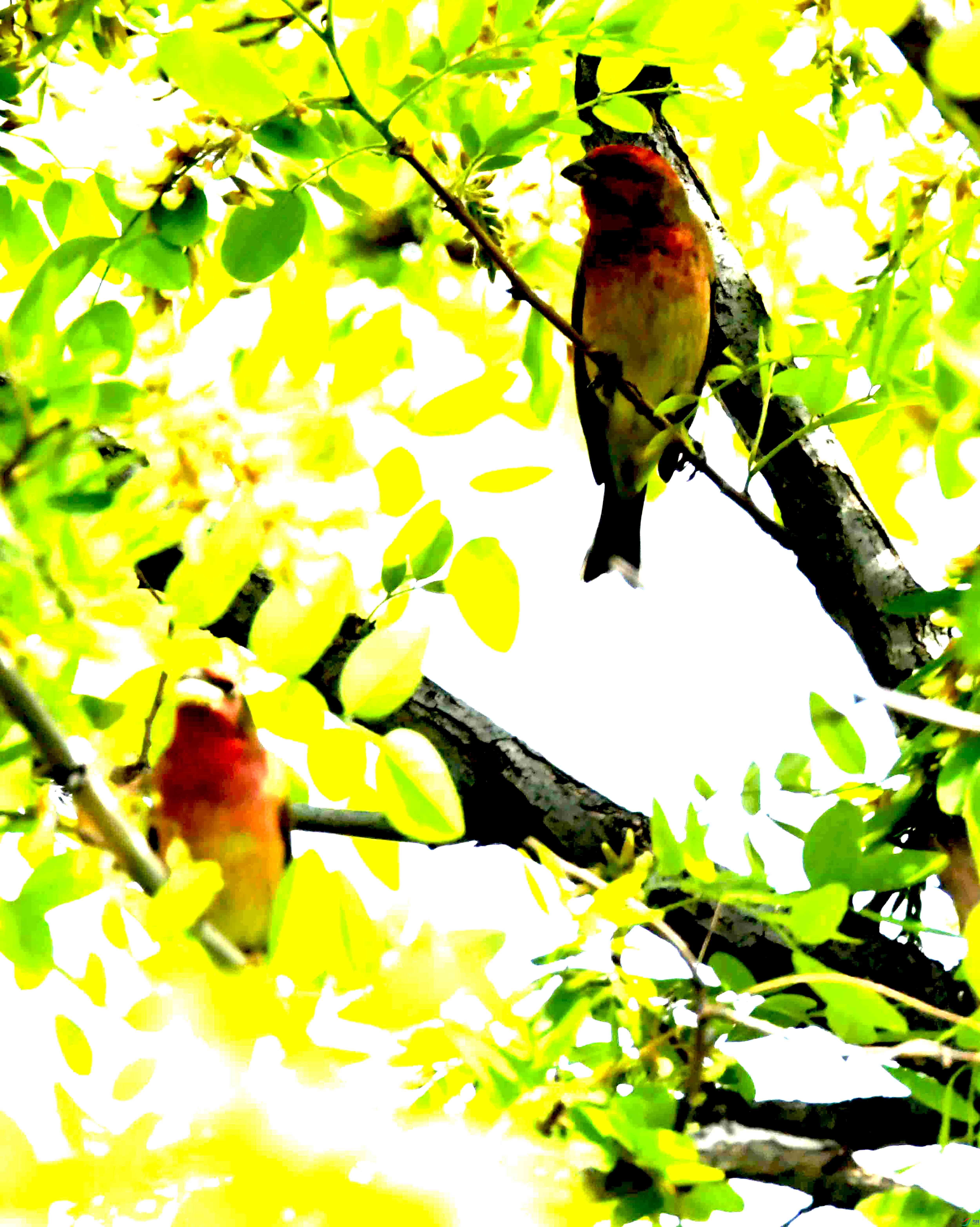 DSC_8465.JPG