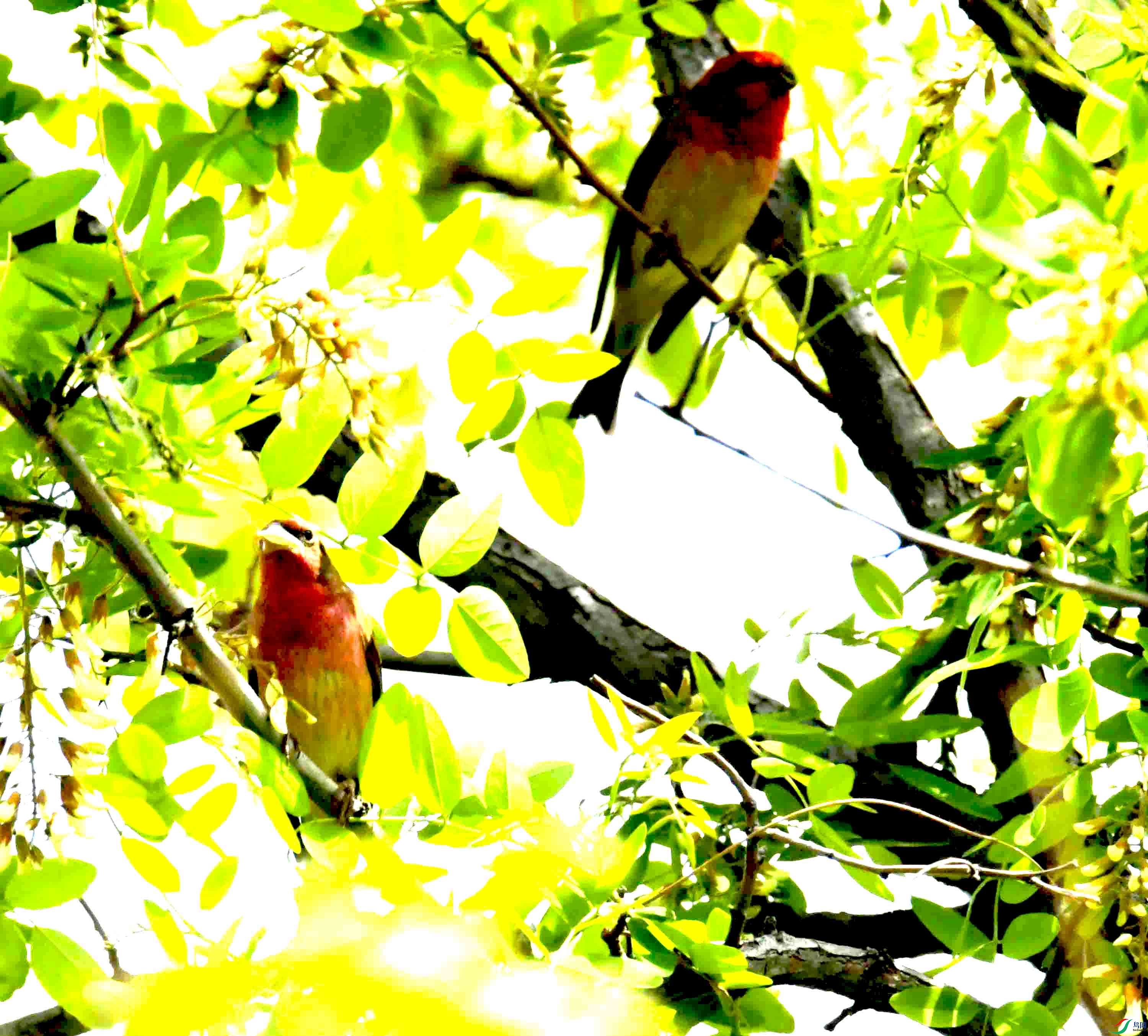 DSC_8456.JPG