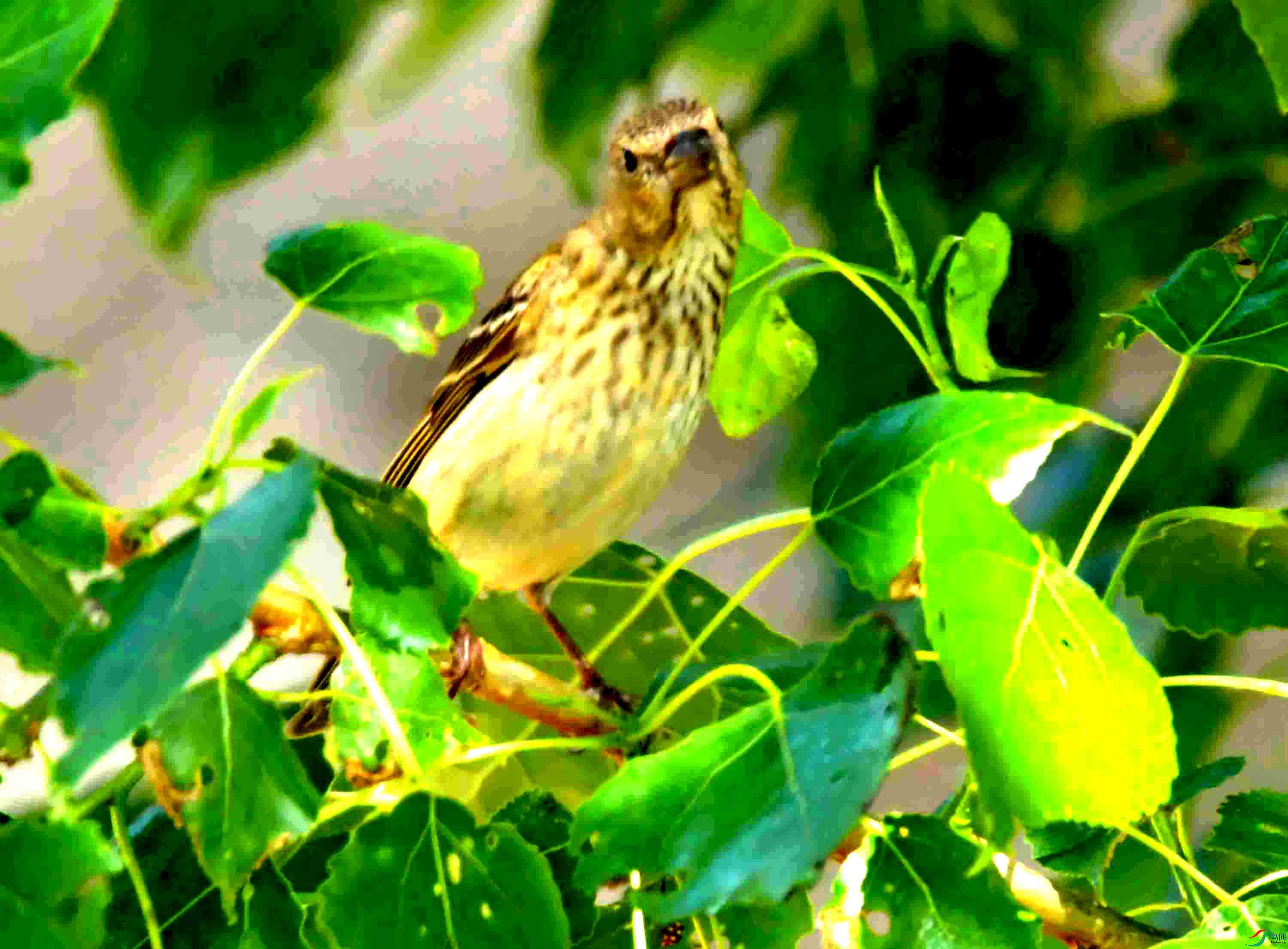 DSC_8551.JPG