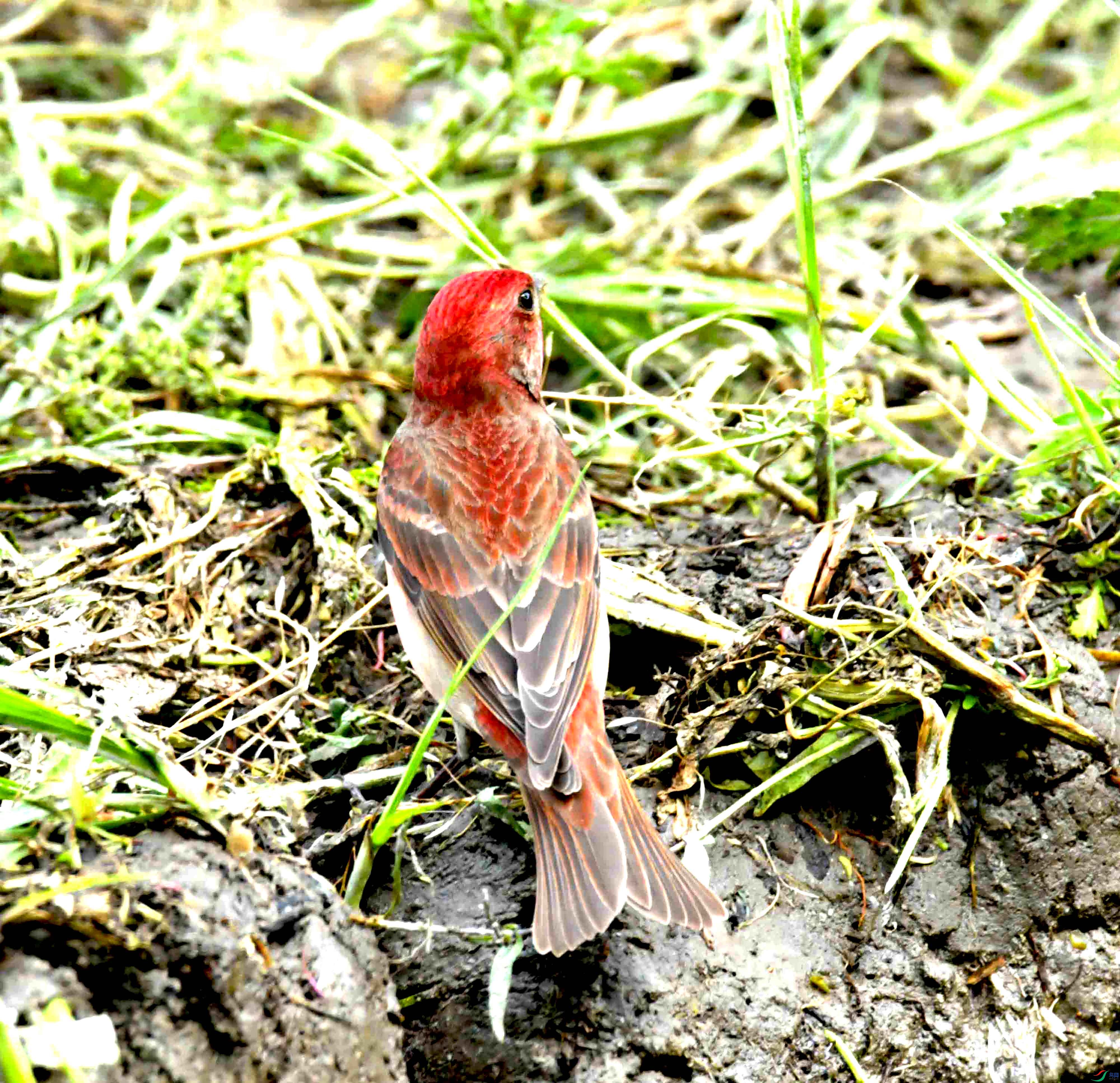 DSC_8625.JPG
