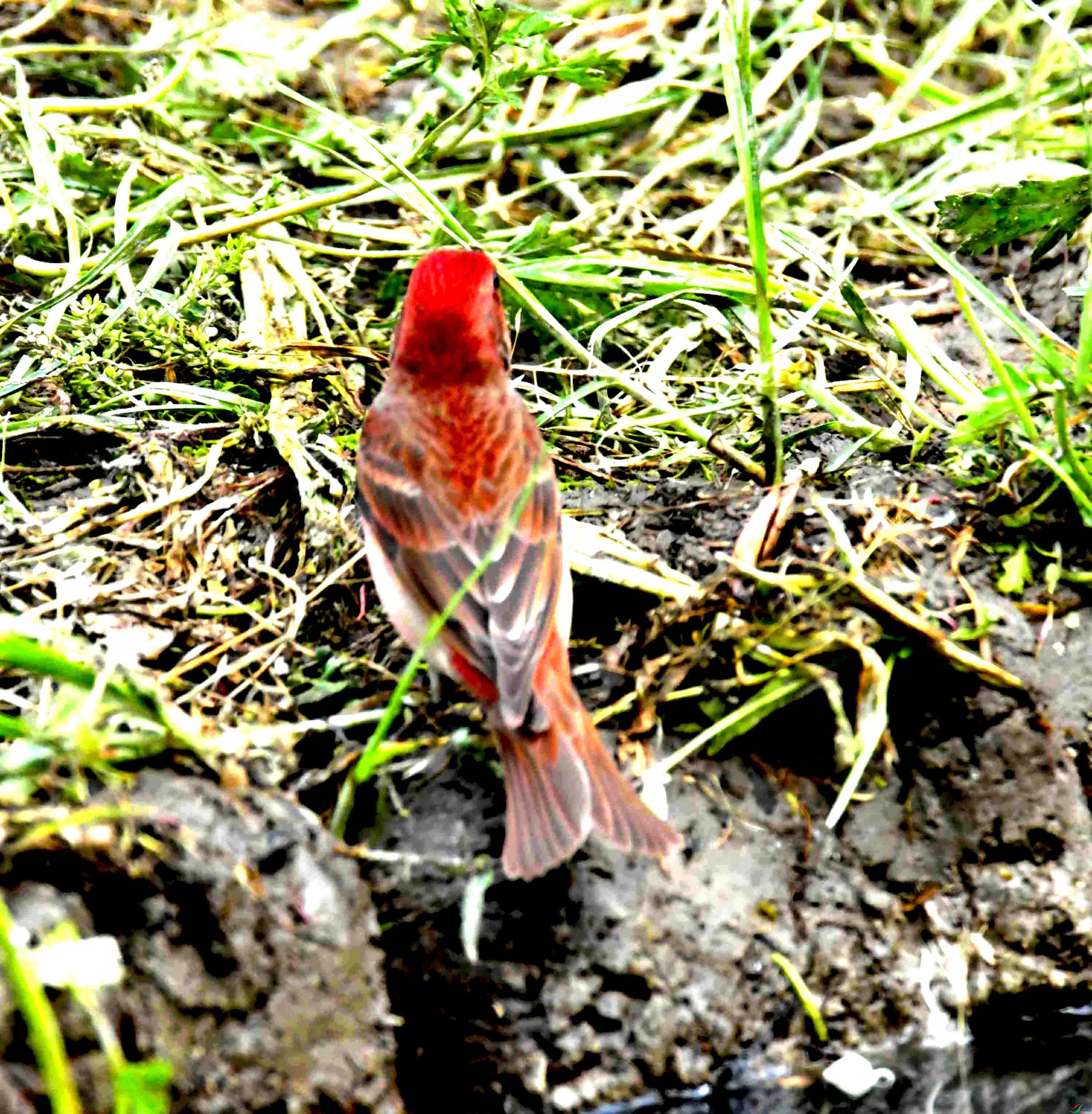 DSC_8628.JPG