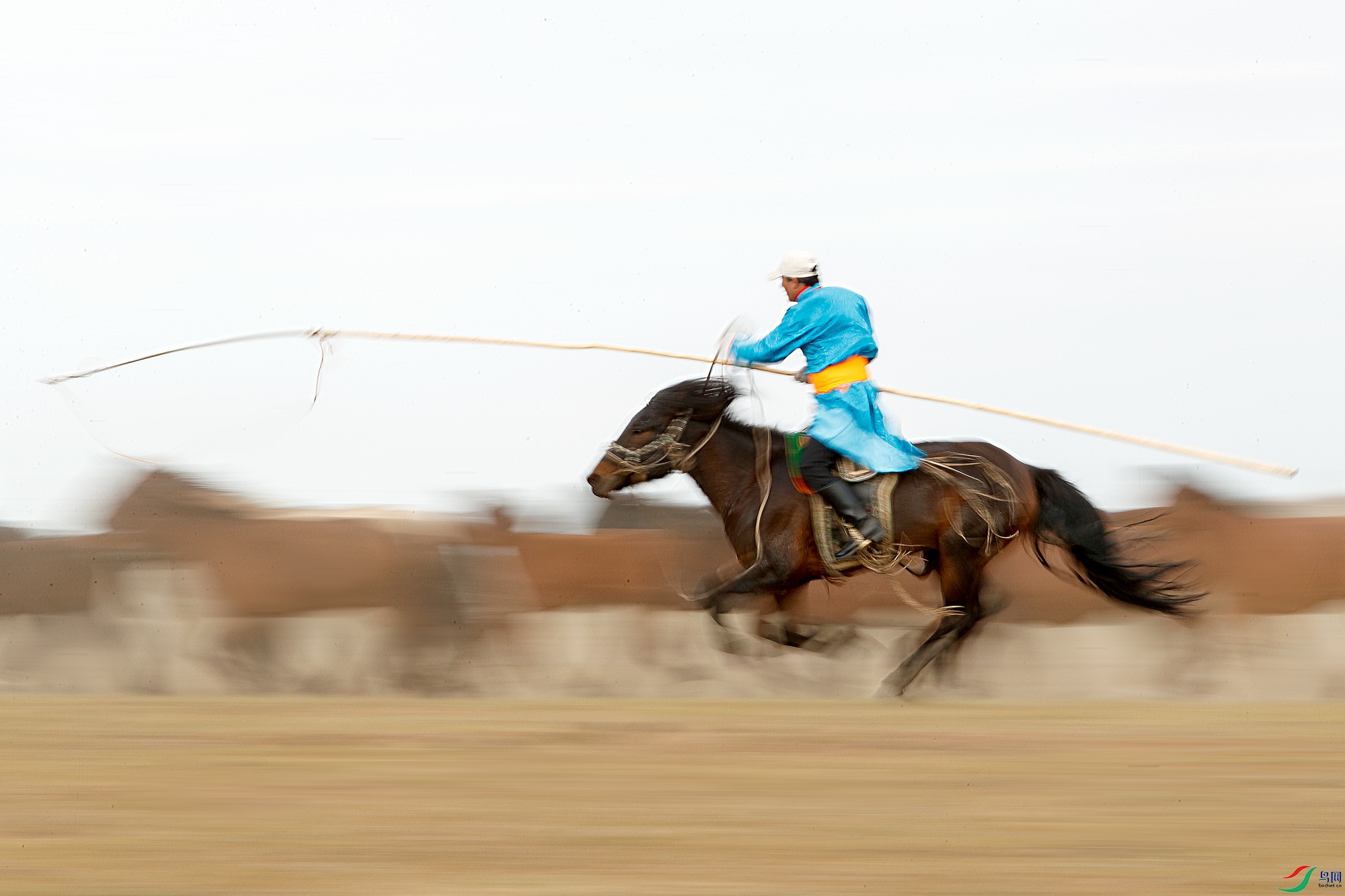 AQ9I6437 ����.jpg