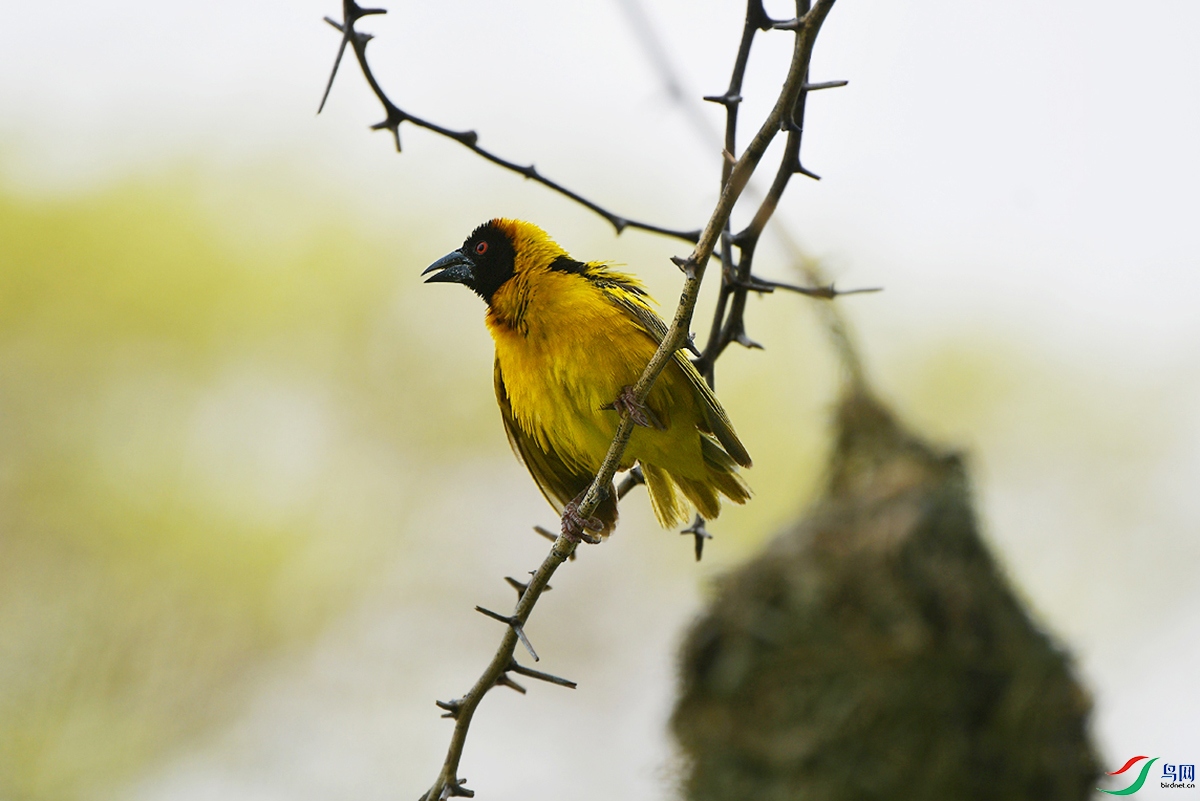 DSC_0557.JPG