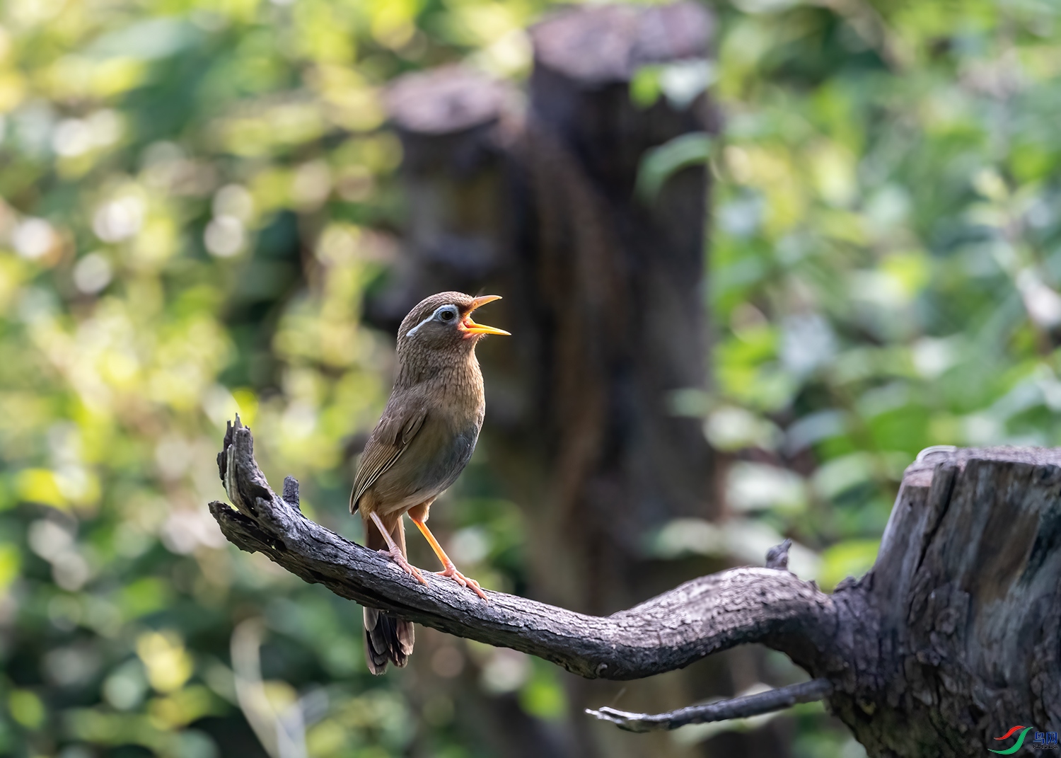 DSC_3023-2.jpg