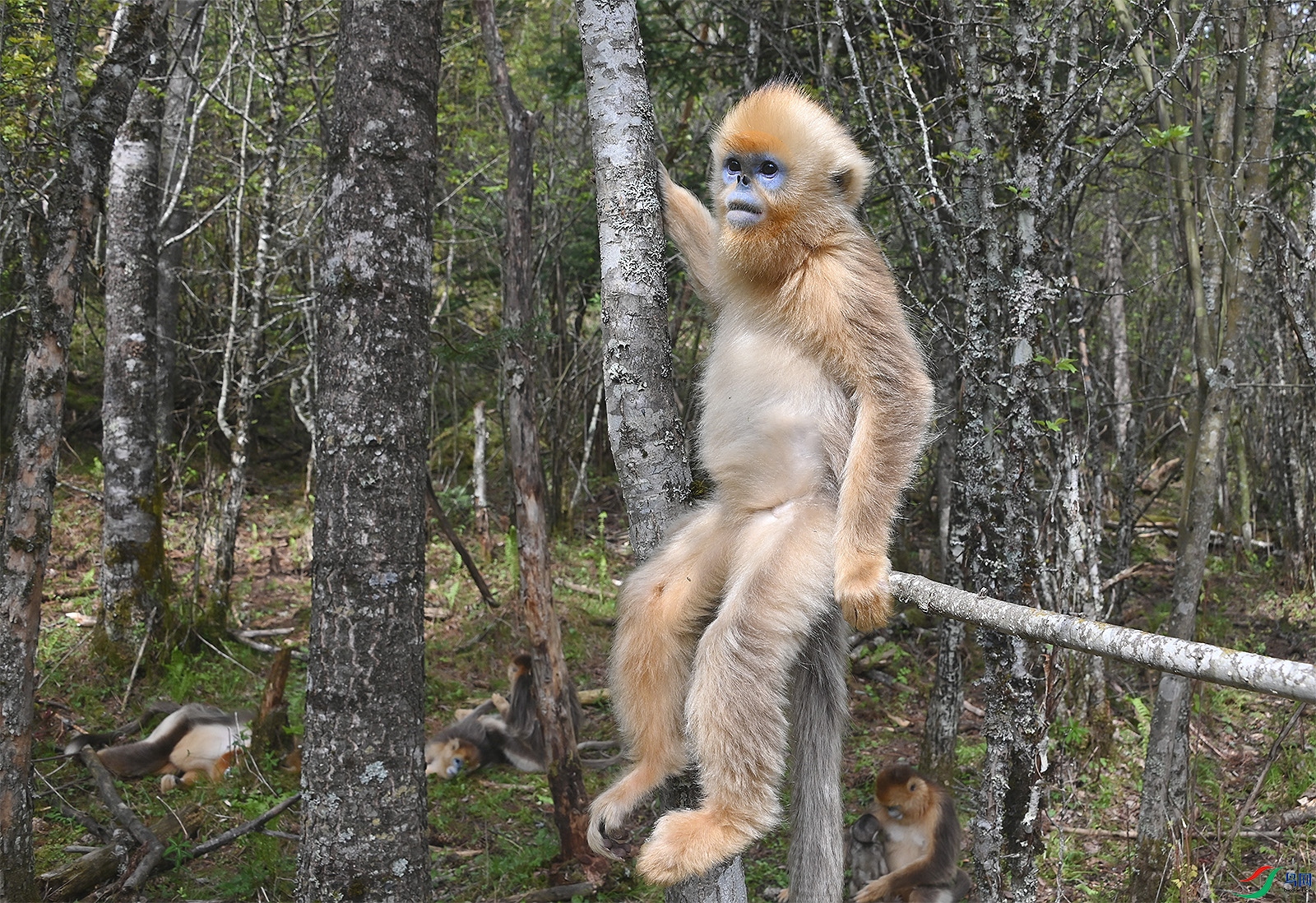 DSC_2094.jpg