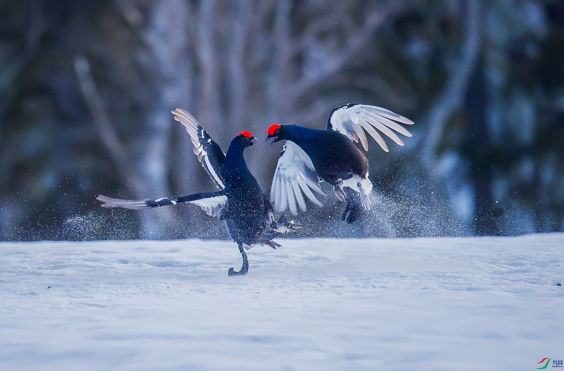 ��DSC8247 ��ؐ.jpg