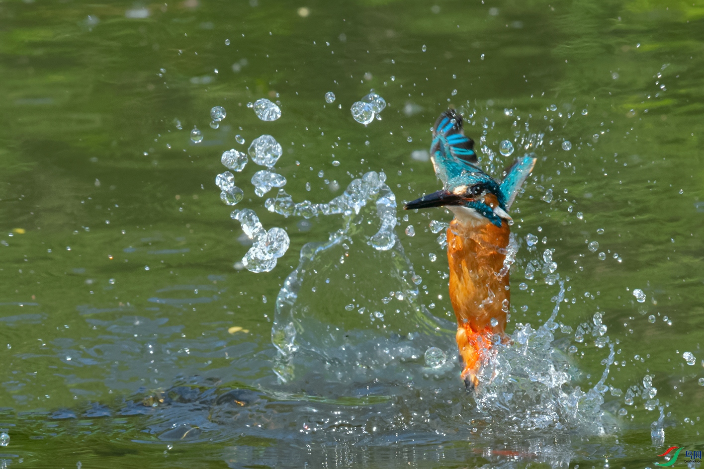 3DSC_9147_DxOa.jpg