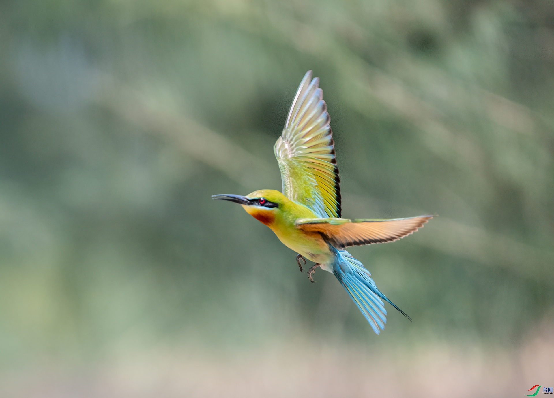 DSC_9584.jpg