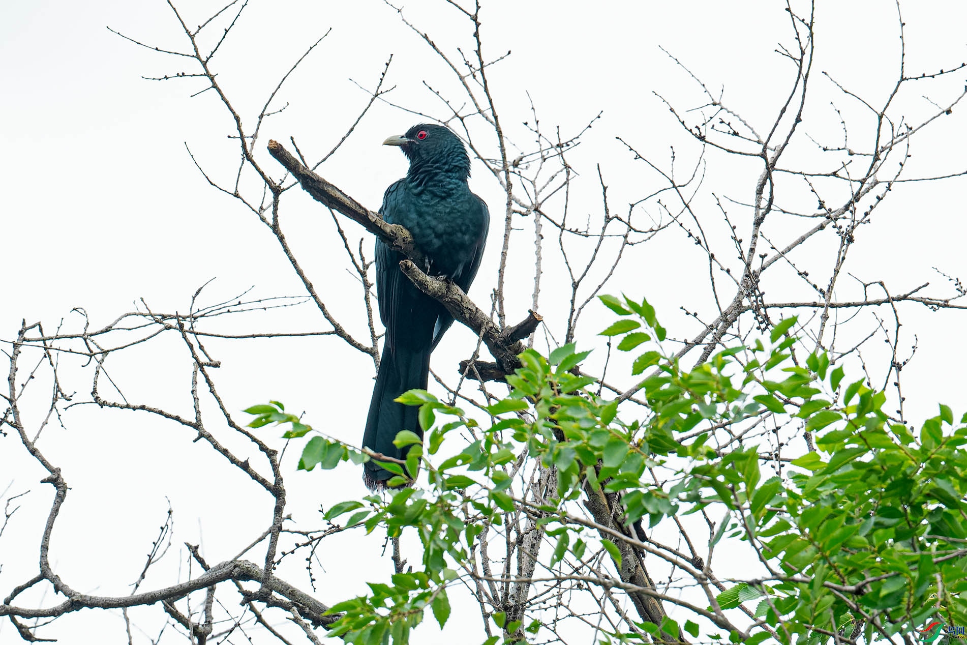 DSC_8444-1.jpg