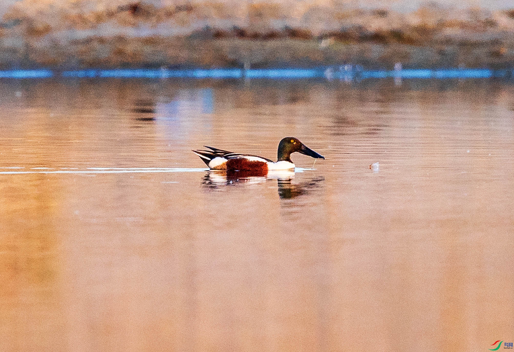IMGL9997.jpgb1.jpg