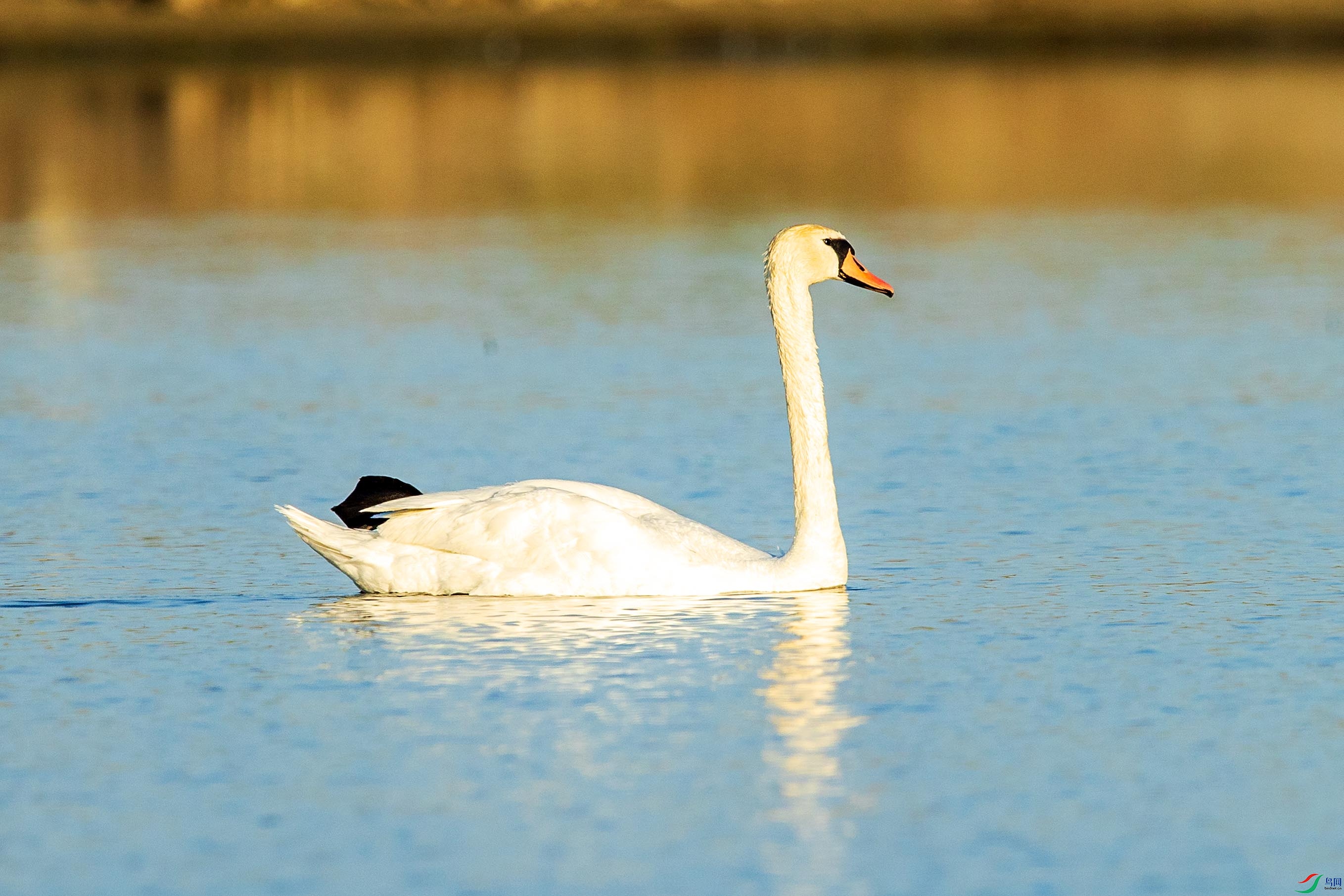 IMGL8957.jpgb1.jpg