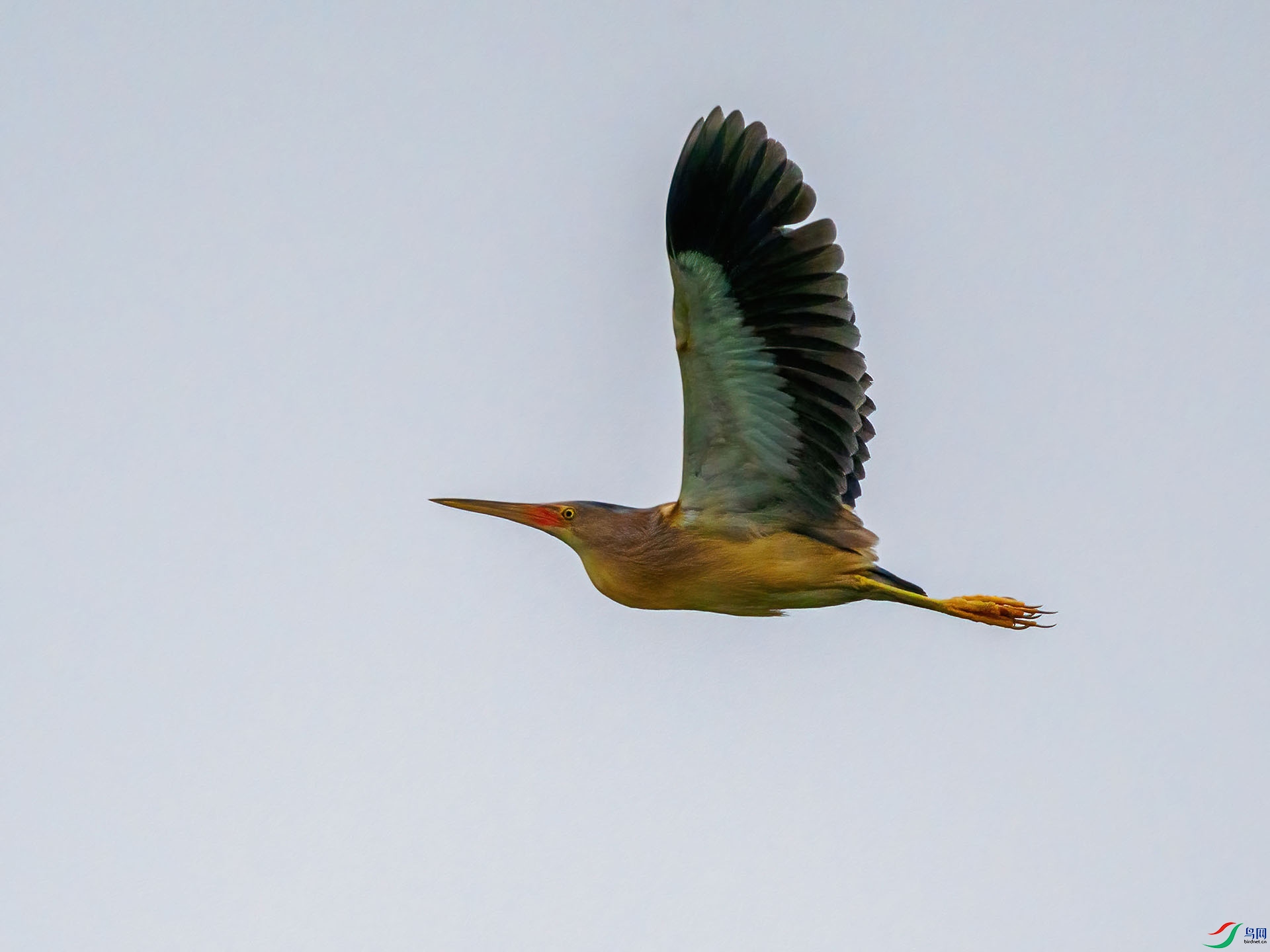 P5306378-denoise-low-light.jpg