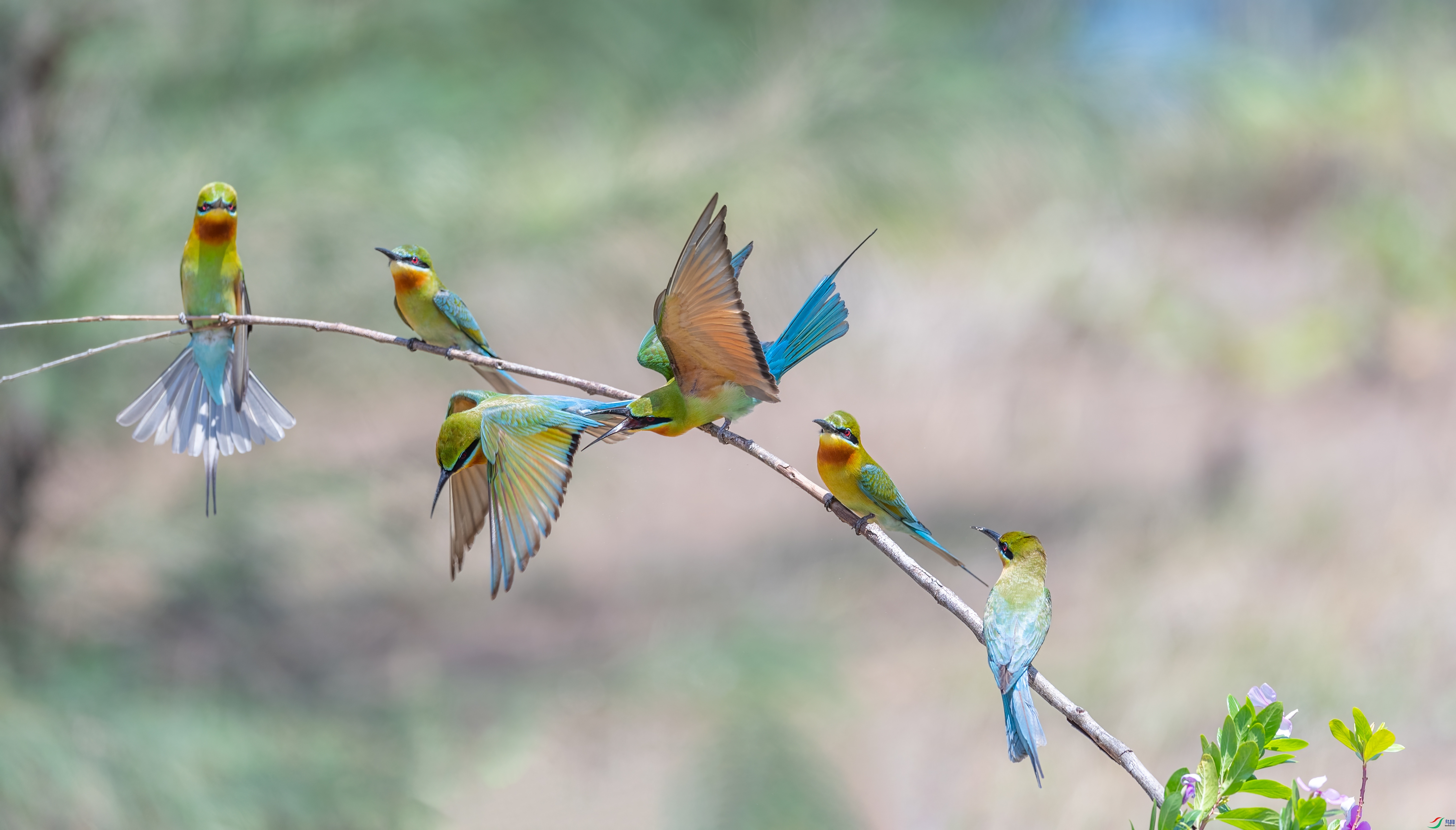DSC_6120.jpg