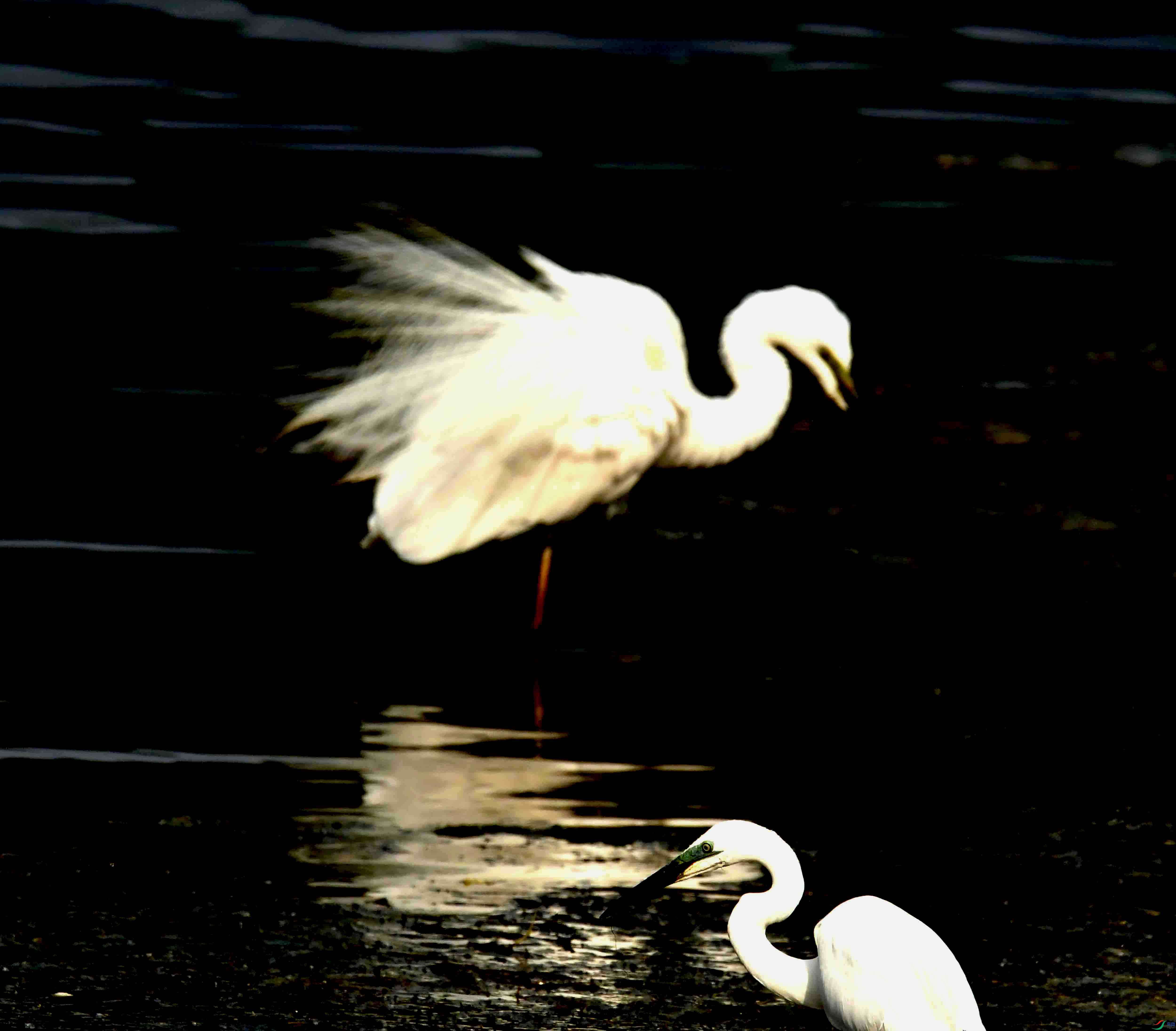 DSC_4204.JPG