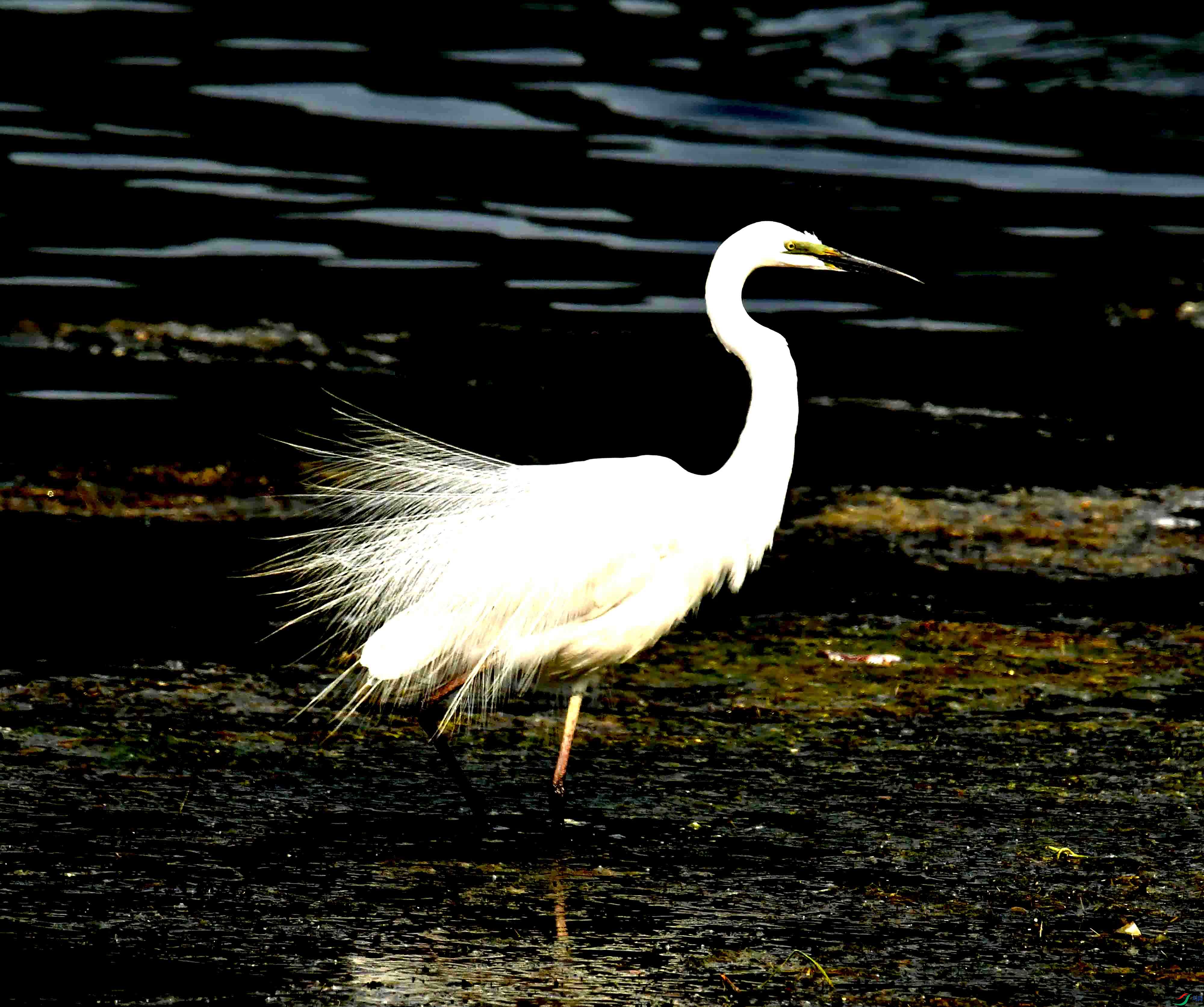 DSC_4189.JPG