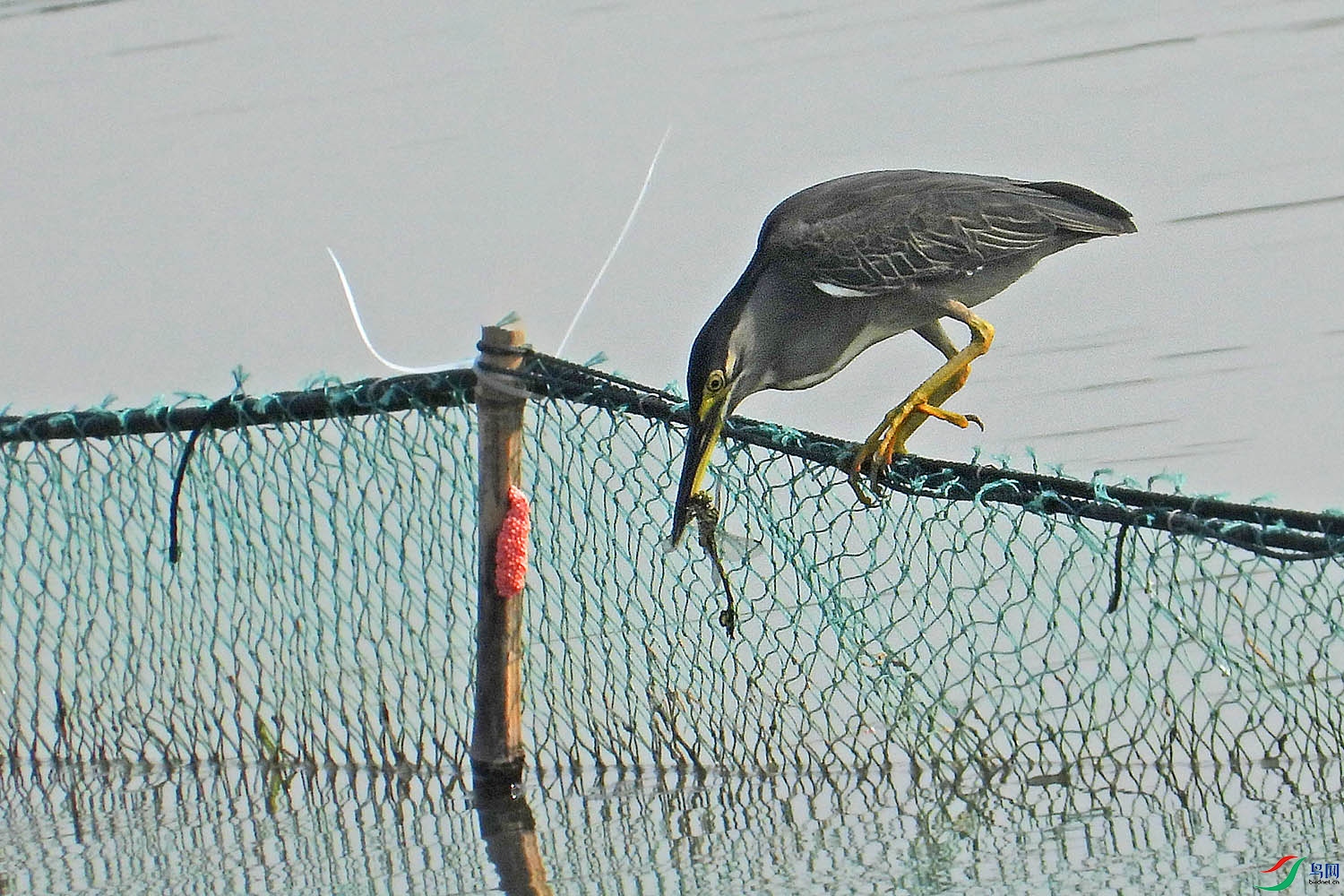 DSCN6868.jpg