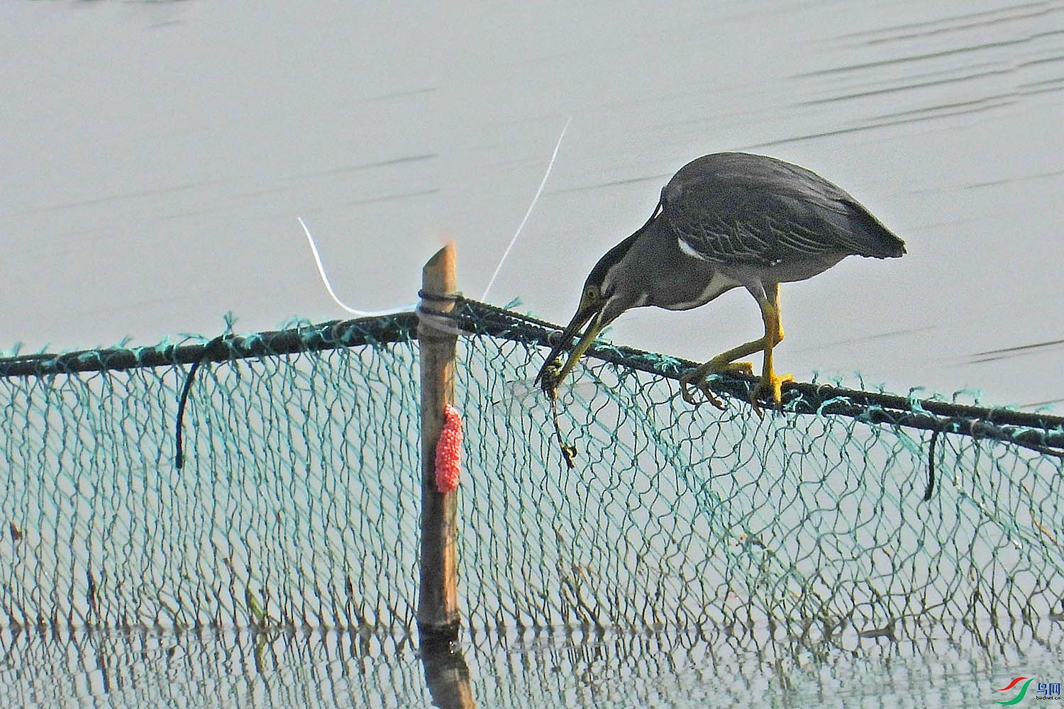 DSCN6866.jpg