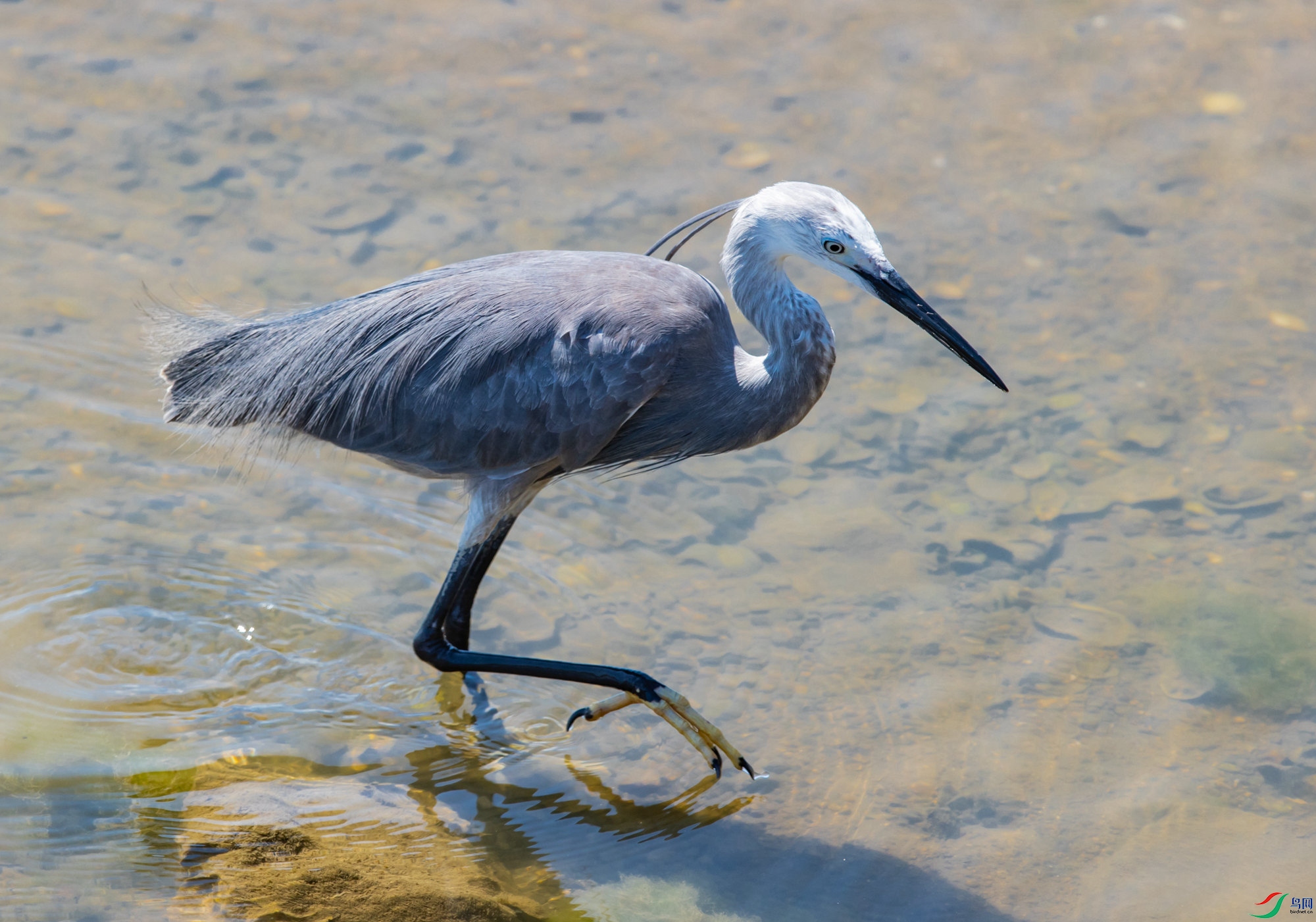 AZ4I7887 ����_����.jpg